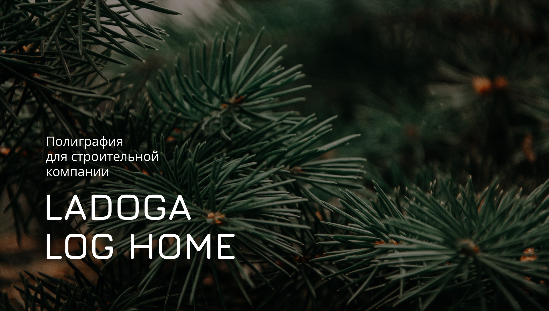 Ladoga Log Home — Изображение №1 — Графика на Dprofile