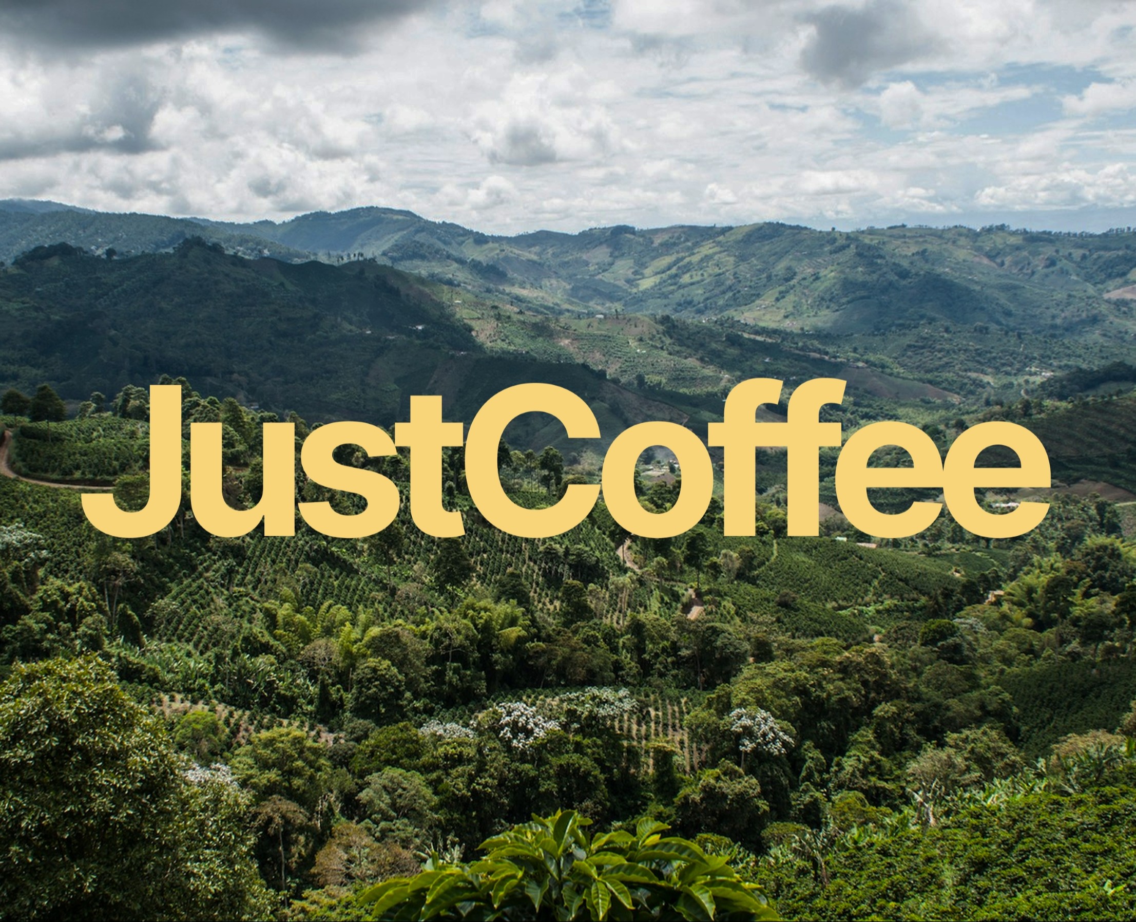 Online Coffeeshop | UX UI Design — Интерфейсы, Брендинг на Dprofile