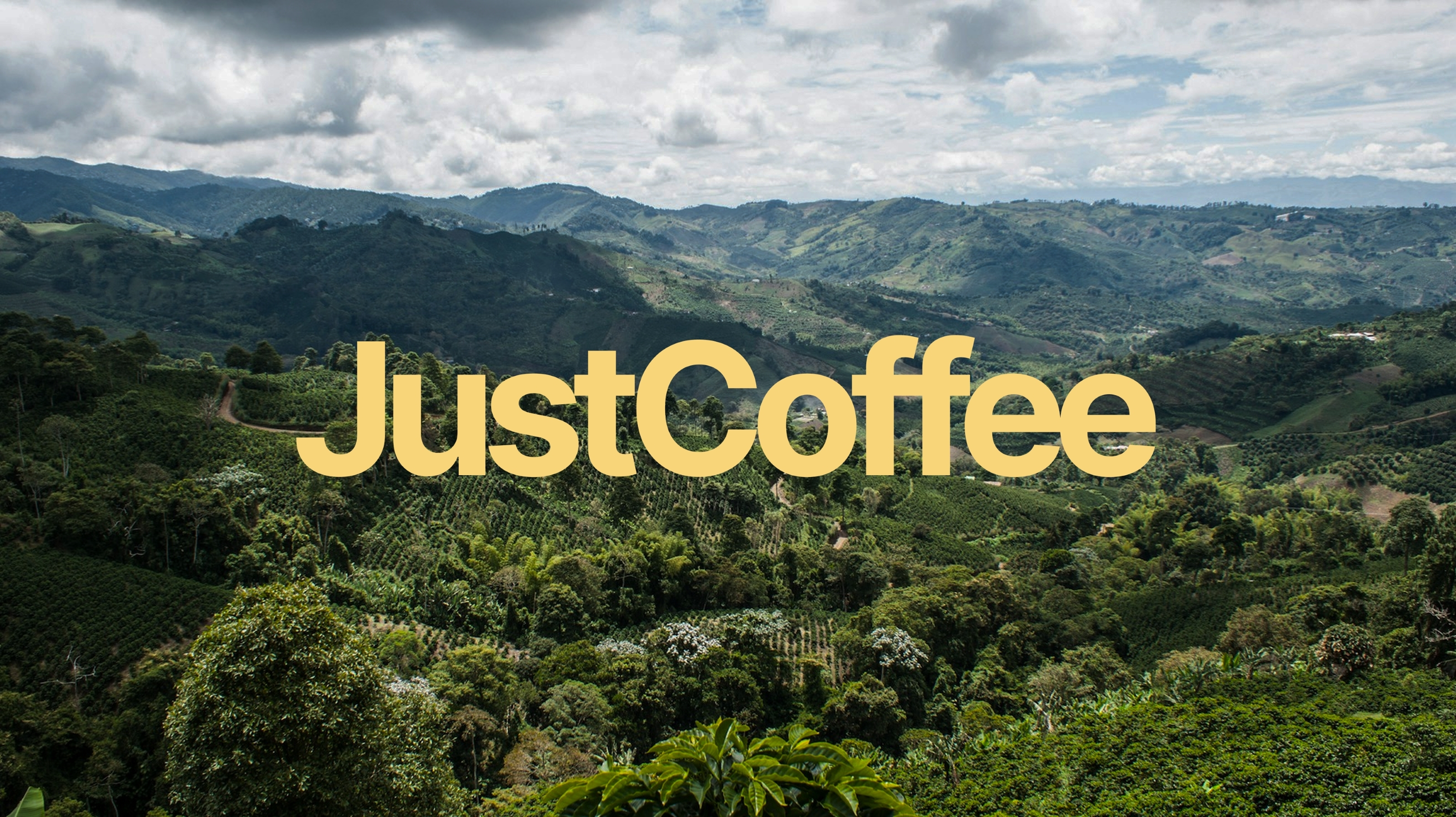 Online Coffeeshop | UX UI Design — Изображение №1 — Интерфейсы, Брендинг на Dprofile