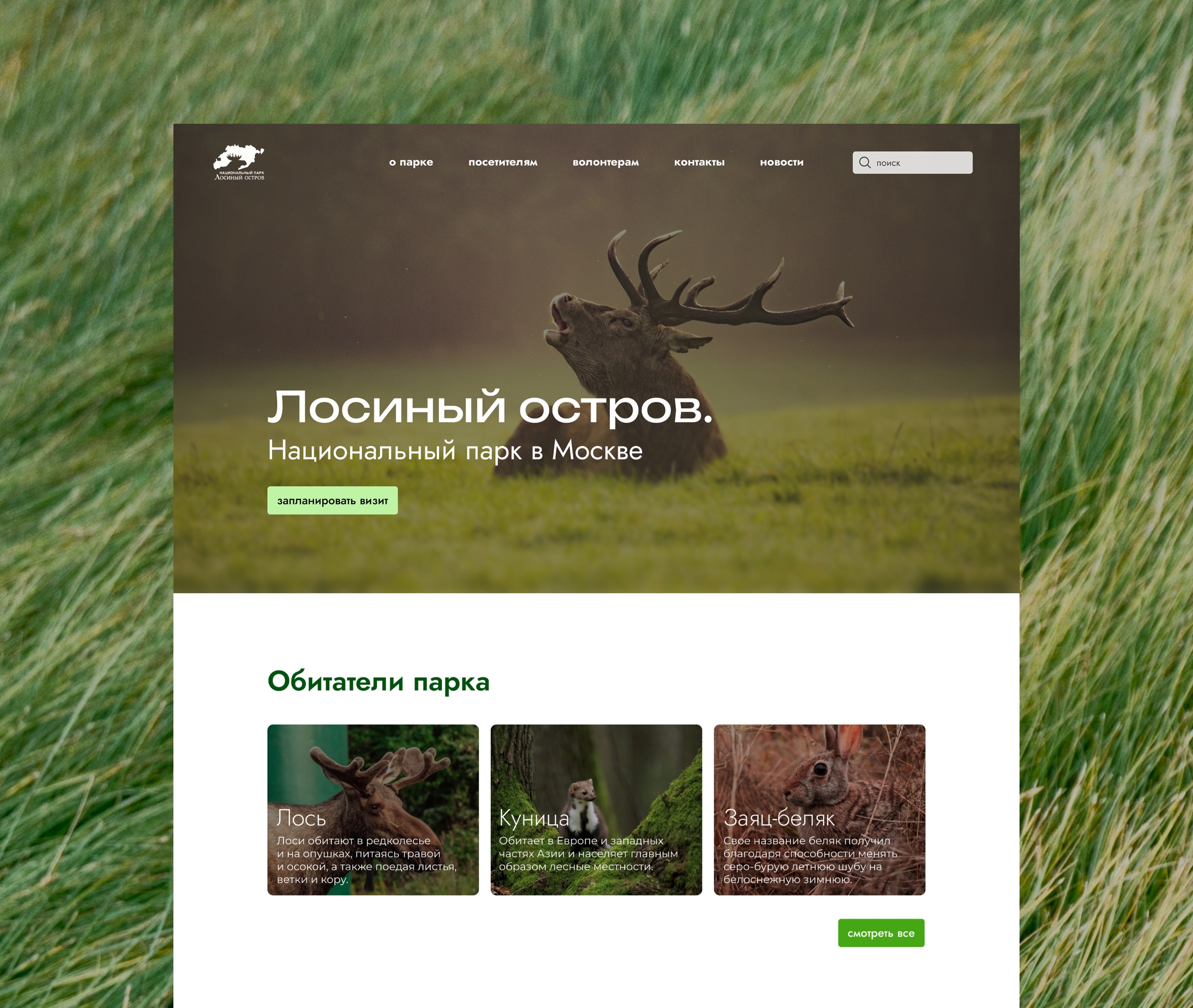 Лосиный Остров | Редизайн сайта — Изображение №4 — Интерфейсы на Dprofile