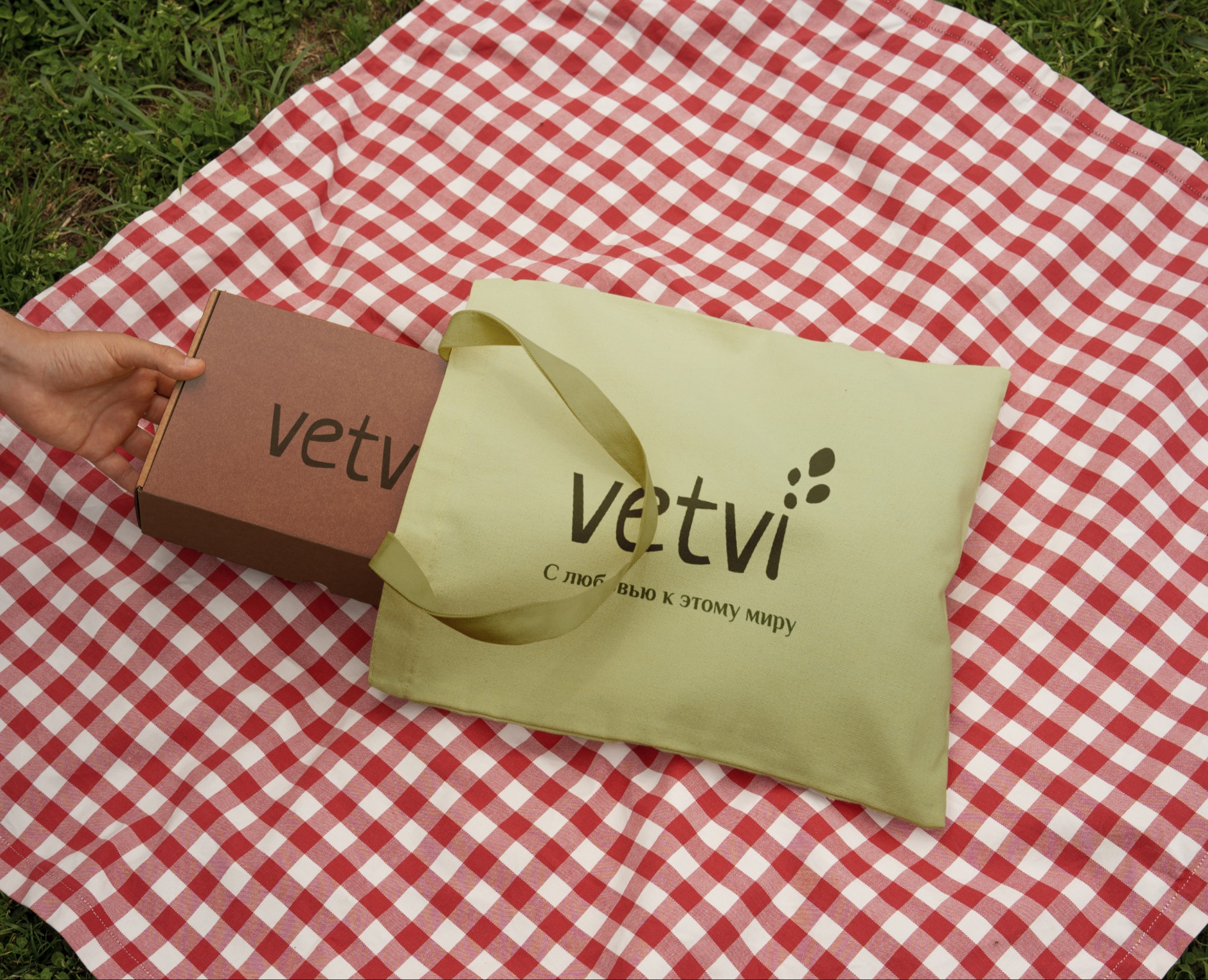 Vetvi | Дизайн локального бренда — Брендинг на Dprofile