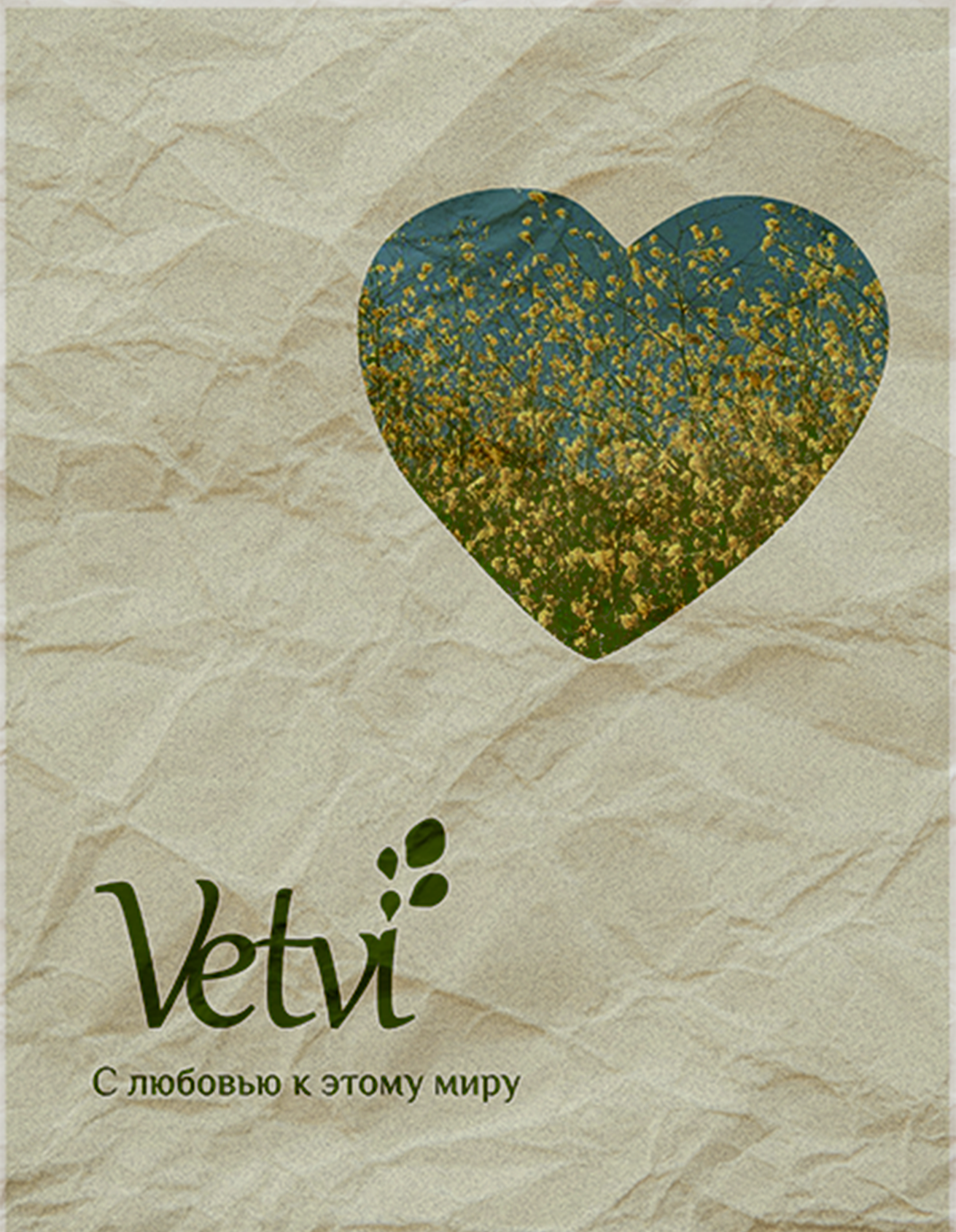 Vetvi | Дизайн локального бренда — Изображение №7 — Брендинг на Dprofile