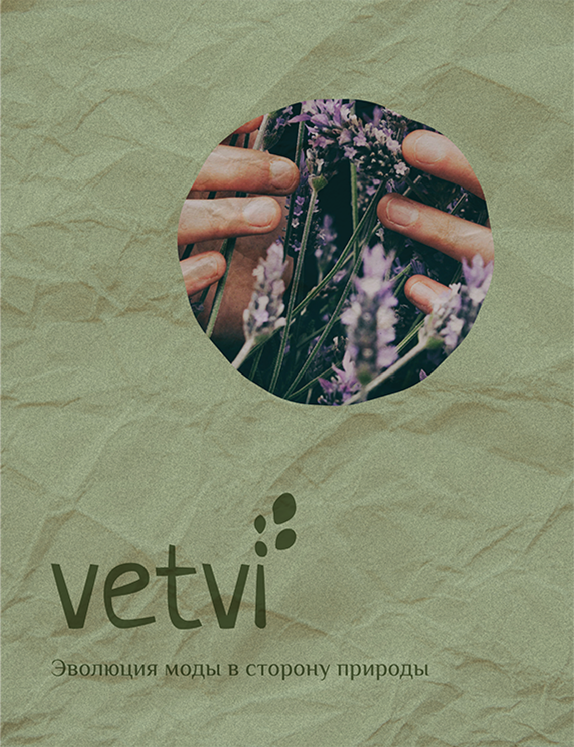 Vetvi | Дизайн локального бренда — Изображение №9 — Брендинг на Dprofile