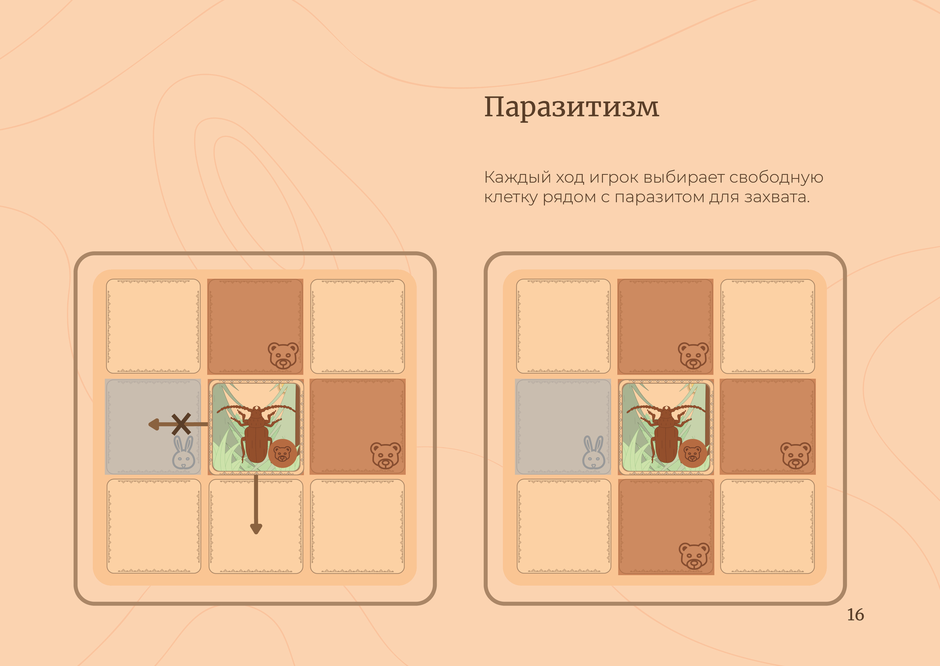 Настольная игра «Повелитель леса» — Изображение №15 — Брендинг, Иллюстрация на Dprofile