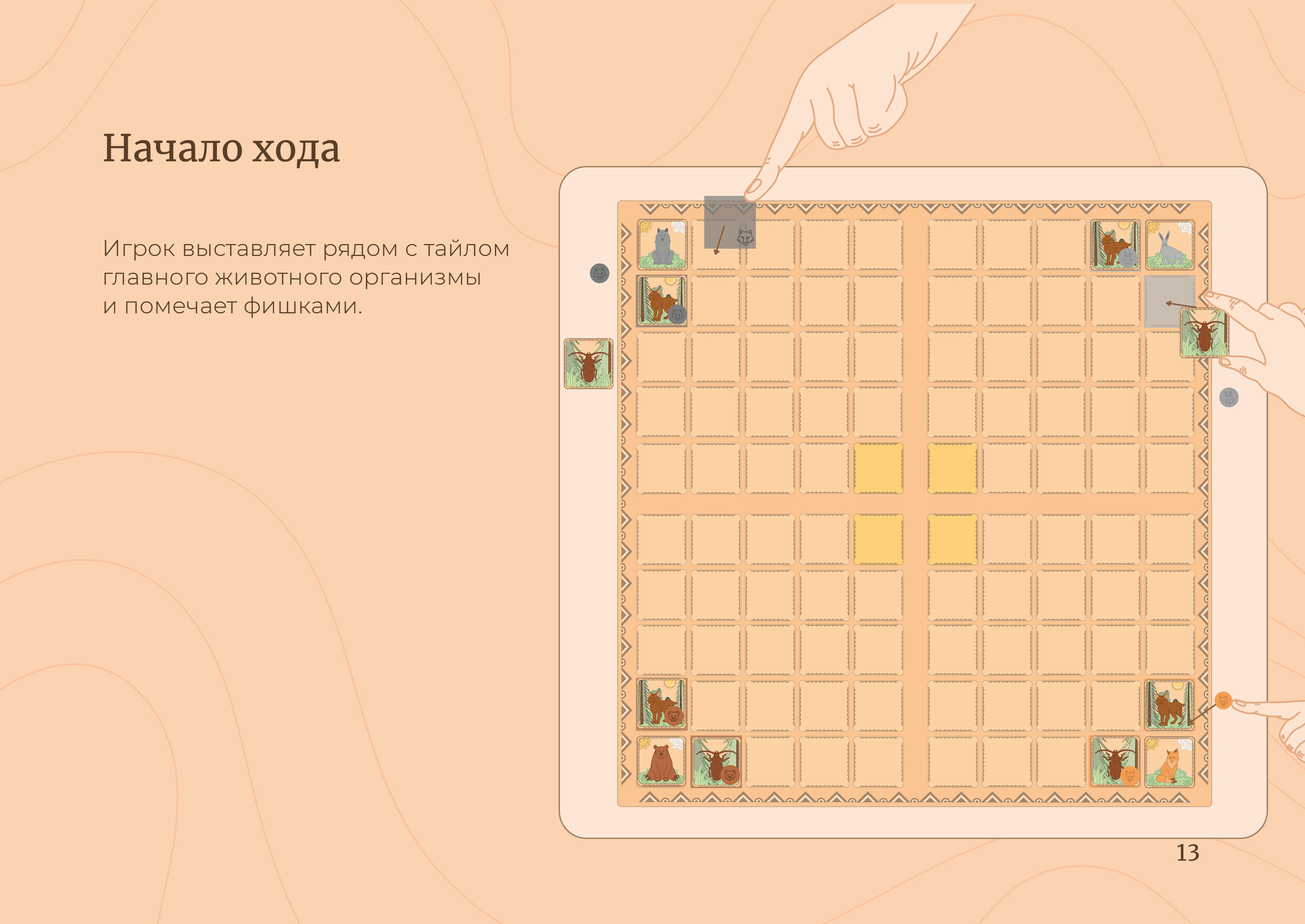 Настольная игра «Повелитель леса» — Изображение №12 — Брендинг, Иллюстрация на Dprofile
