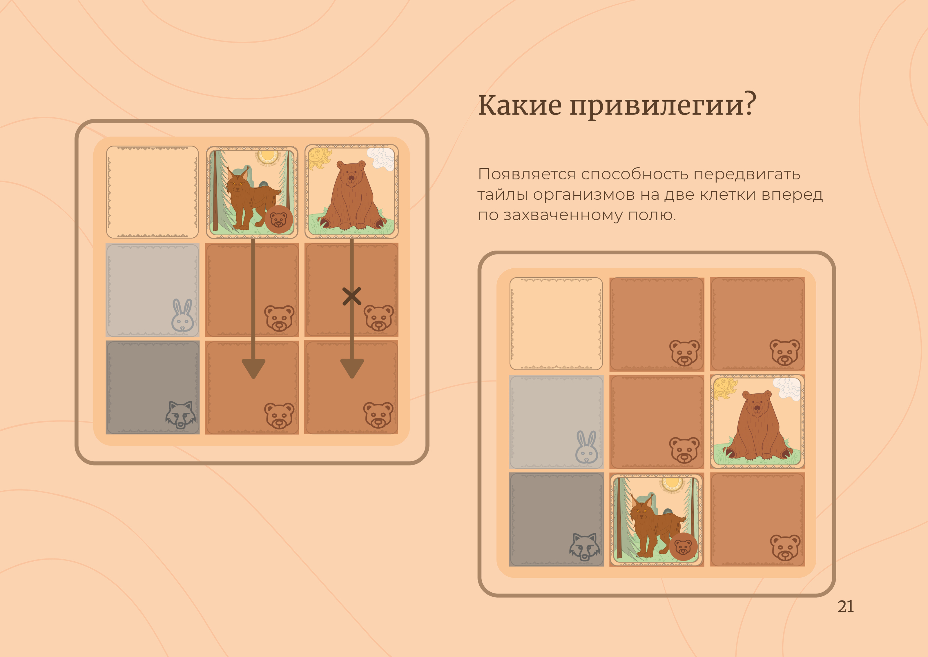 Настольная игра «Повелитель леса» — Изображение №20 — Брендинг, Иллюстрация на Dprofile