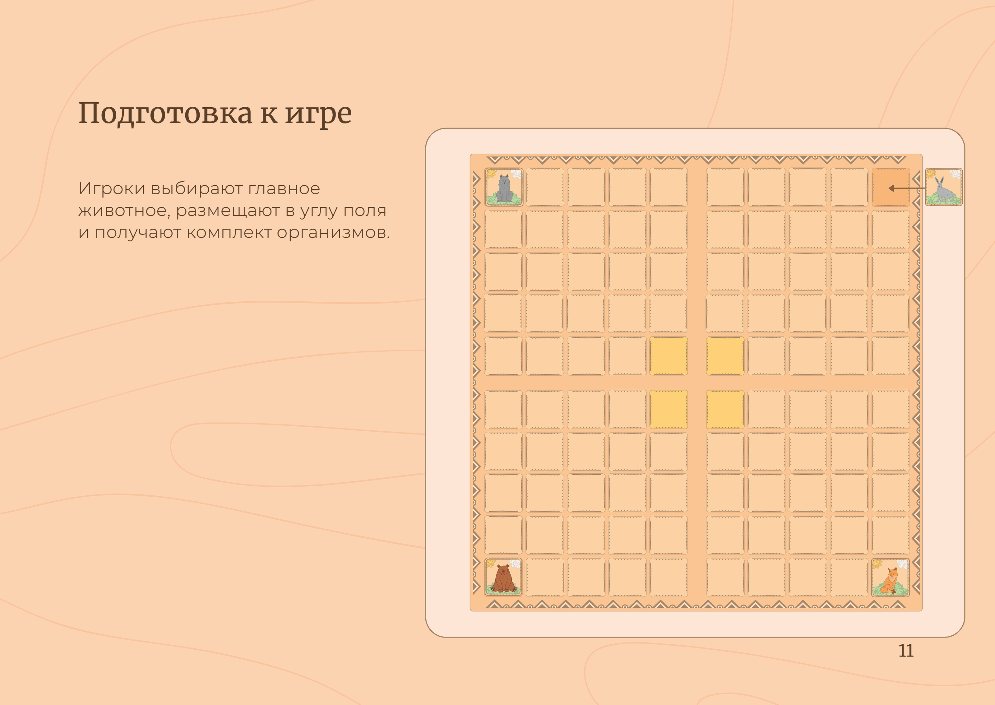 Настольная игра «Повелитель леса» — Изображение №10 — Брендинг, Иллюстрация на Dprofile