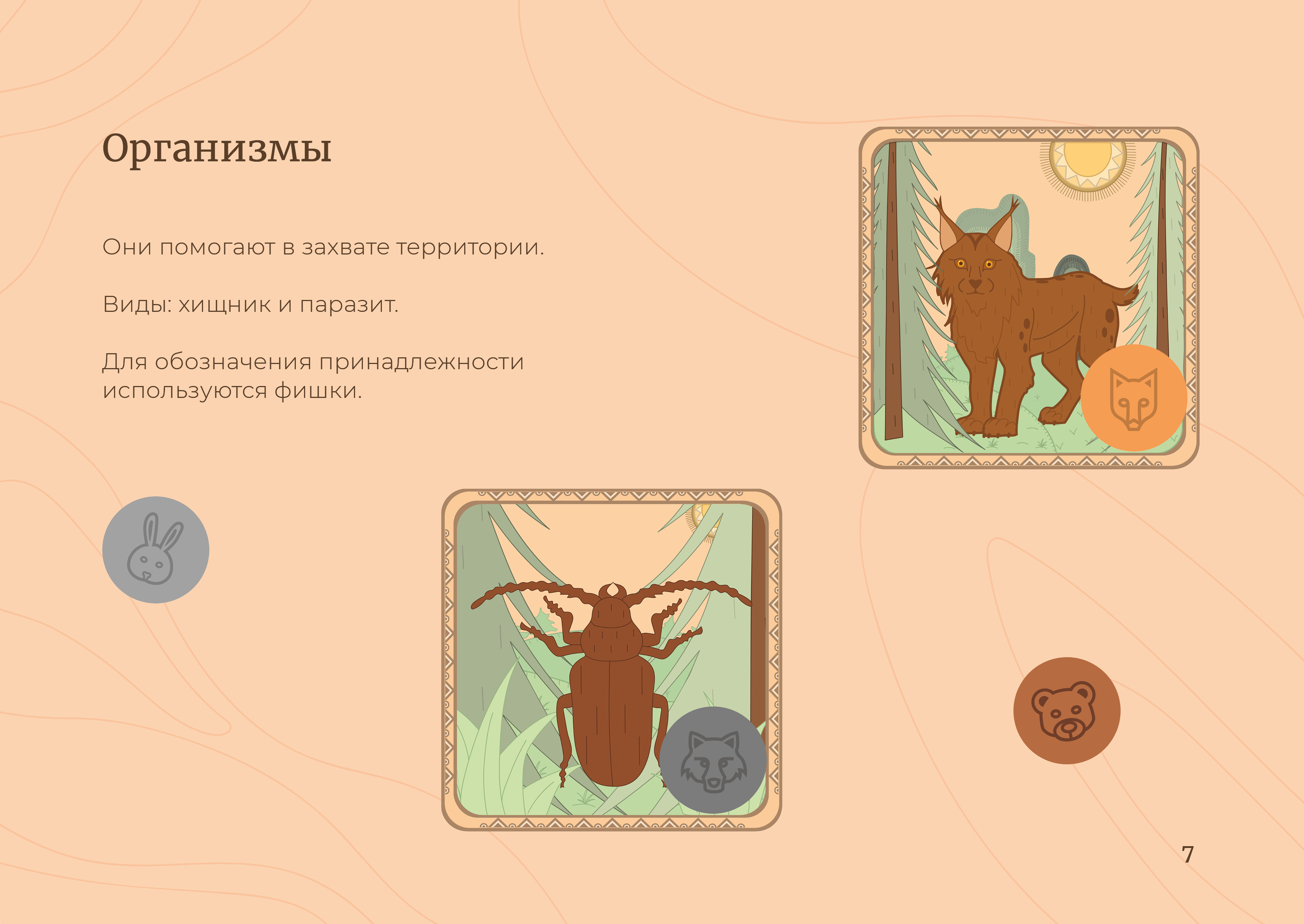 Настольная игра «Повелитель леса» — Изображение №6 — Брендинг, Иллюстрация на Dprofile
