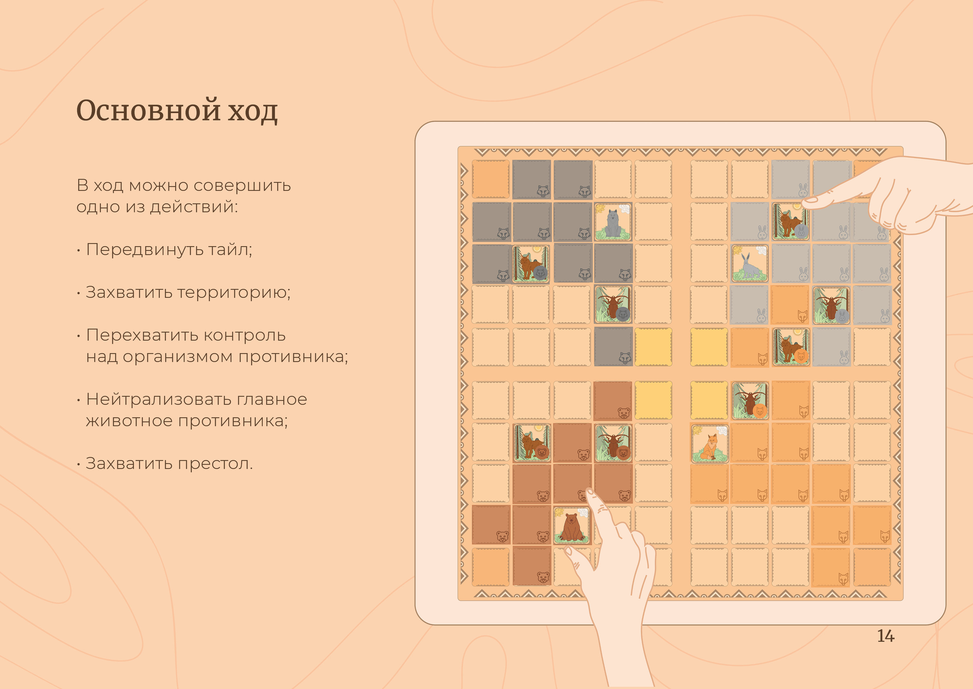 Настольная игра «Повелитель леса» — Изображение №13 — Брендинг, Иллюстрация на Dprofile