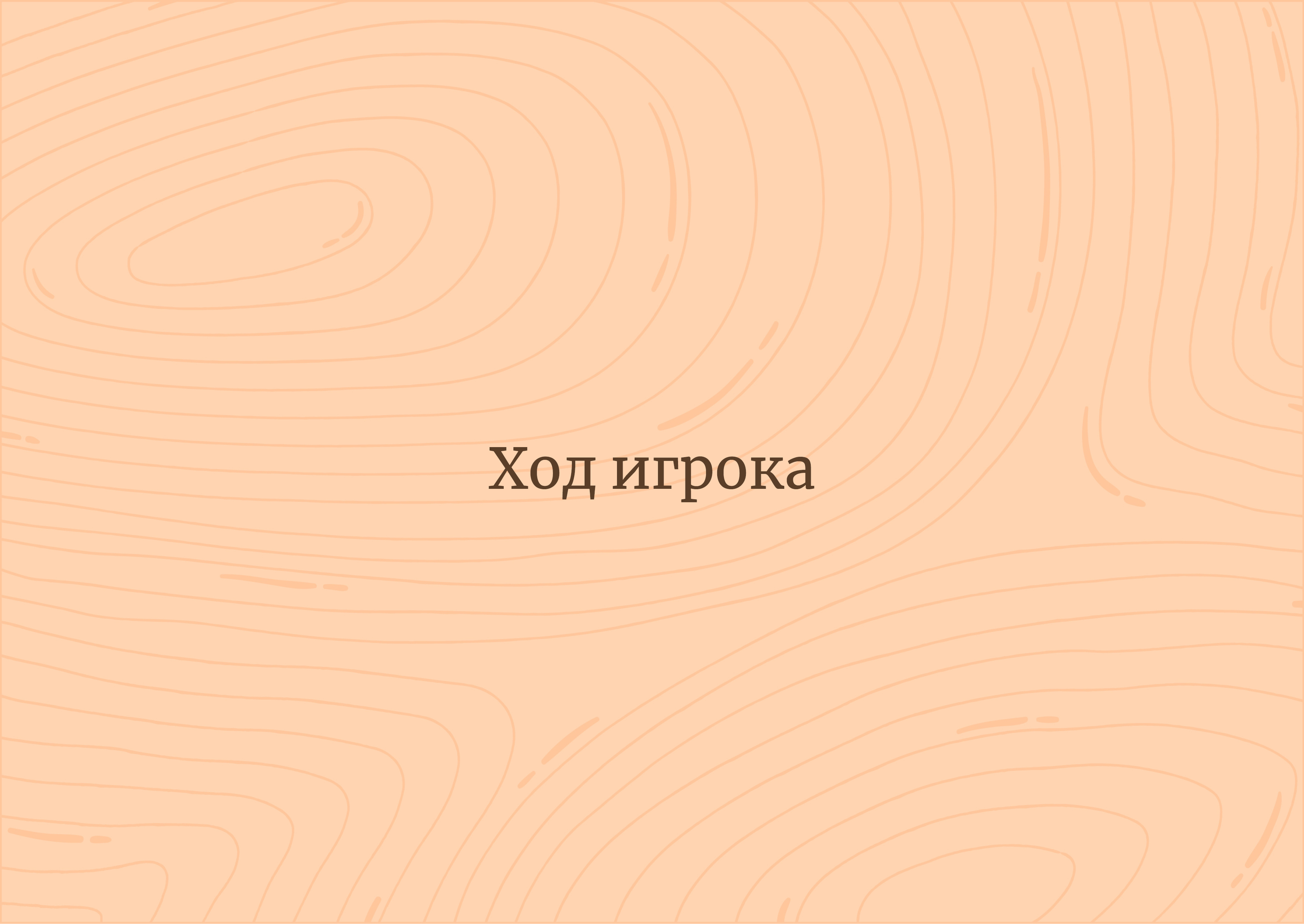 Настольная игра «Повелитель леса» — Изображение №11 — Брендинг, Иллюстрация на Dprofile