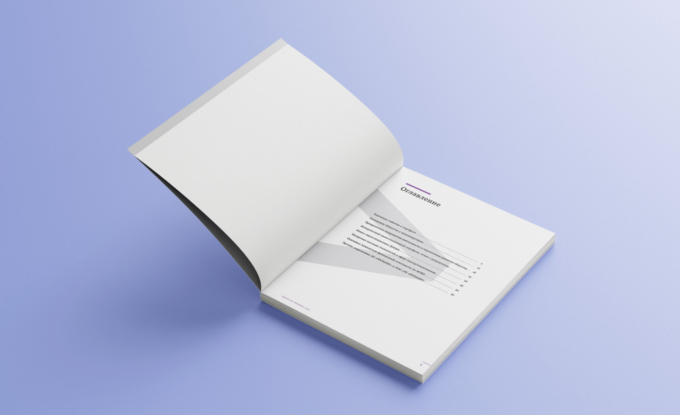 Public annual report 2019 RUSNANO — Изображение №15 — Графика на Dprofile