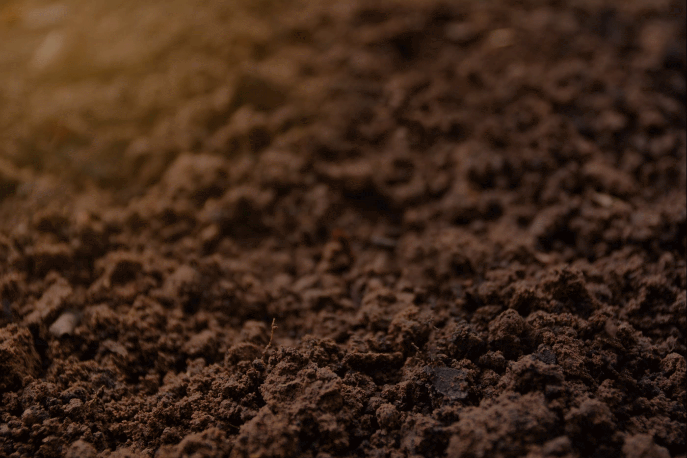 Trademark creating — Изображение №1 — Брендинг, Иллюстрация на Dprofile