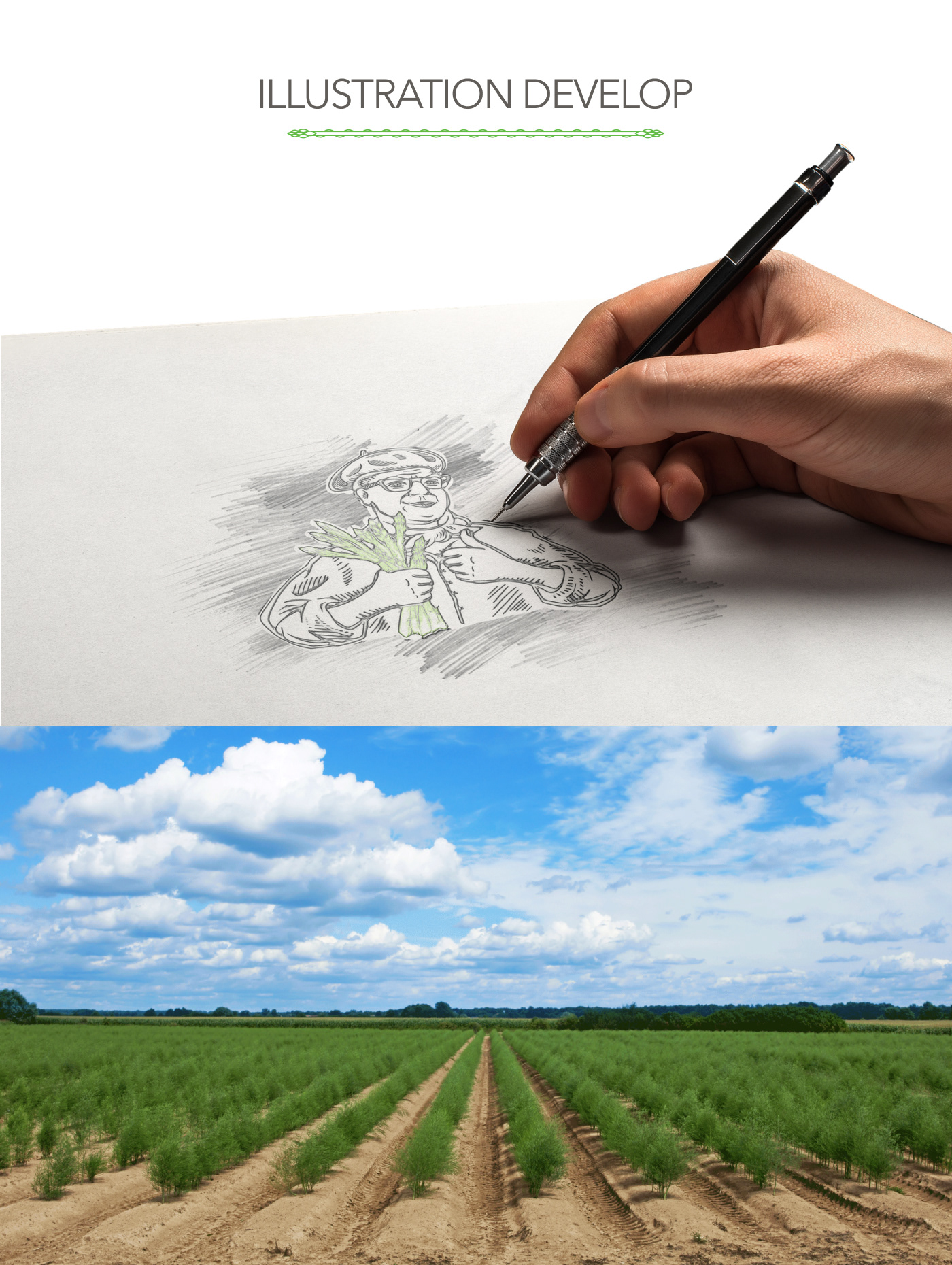 Trademark creating — Изображение №3 — Брендинг, Иллюстрация на Dprofile