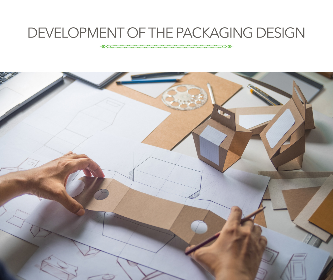 Trademark creating — Изображение №6 — Брендинг, Иллюстрация на Dprofile