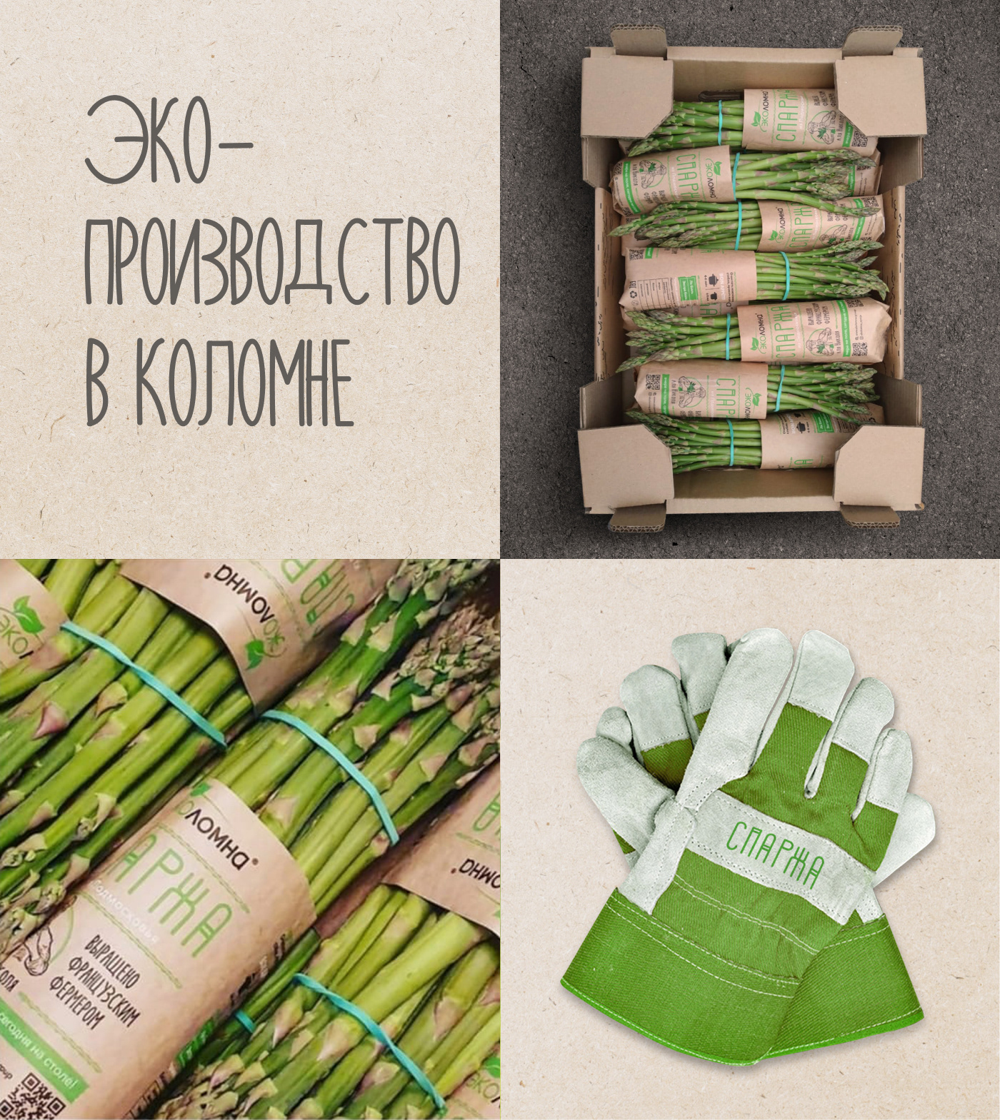 Trademark creating — Изображение №5 — Брендинг, Иллюстрация на Dprofile