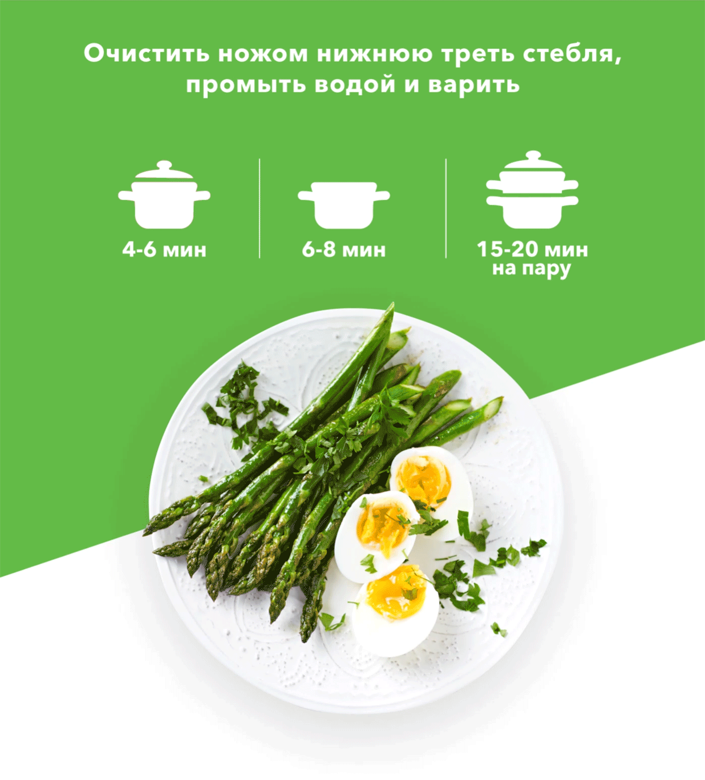 Trademark creating — Изображение №12 — Брендинг, Иллюстрация на Dprofile