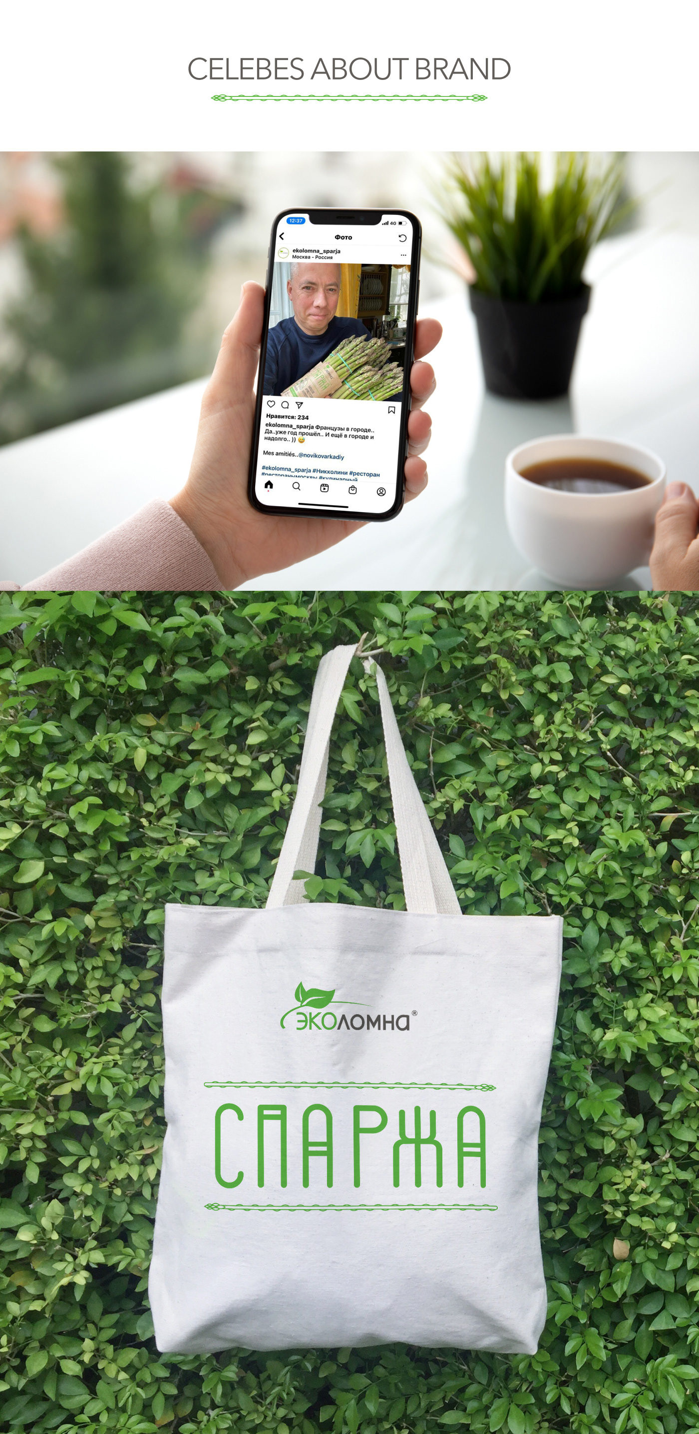 Trademark creating — Изображение №13 — Брендинг, Иллюстрация на Dprofile