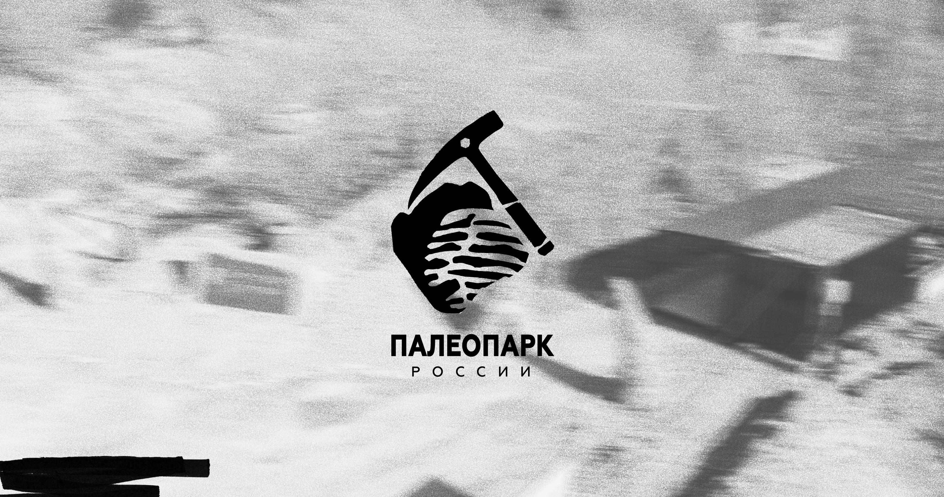 Айдентика для туристического бренда — Изображение №2 — Брендинг, Иллюстрация на Dprofile