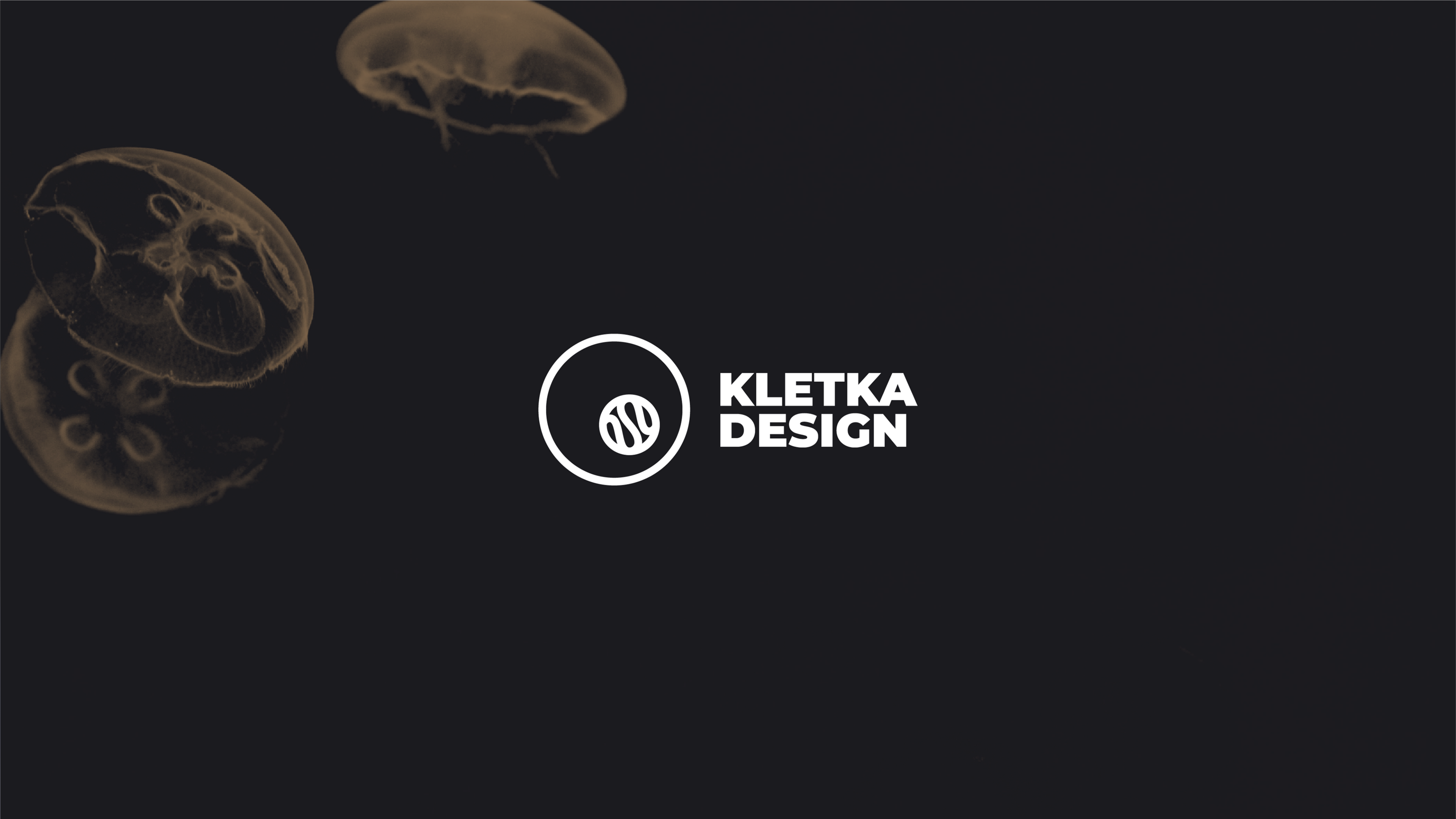 KLETKA | BRAND IDENTITY — Изображение №5 — Брендинг на Dprofile