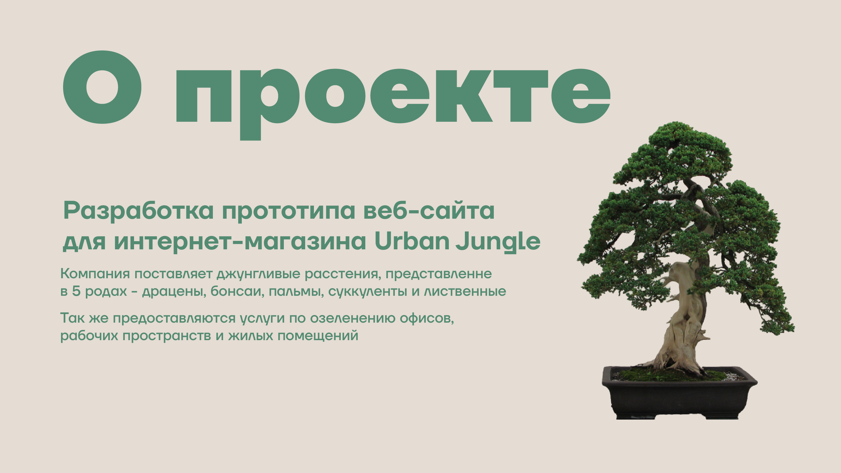 Разработка сайта онлайн-магазина растений "Urban Jungle" — Изображение №2 — Интерфейсы на Dprofile