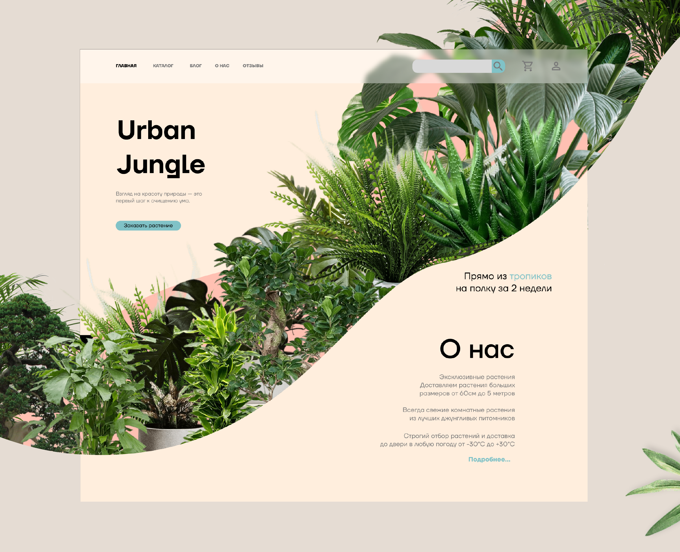 Разработка сайта онлайн-магазина растений "Urban Jungle" на Dprofile