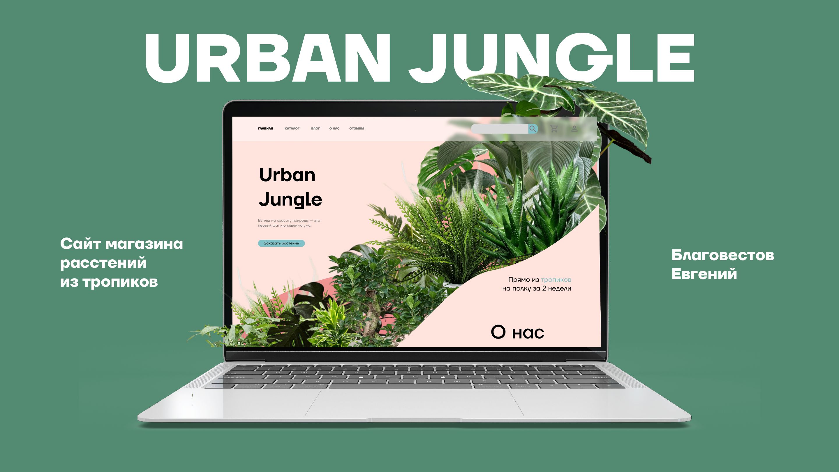 Разработка сайта онлайн-магазина растений "Urban Jungle" — Изображение №1 — Интерфейсы на Dprofile