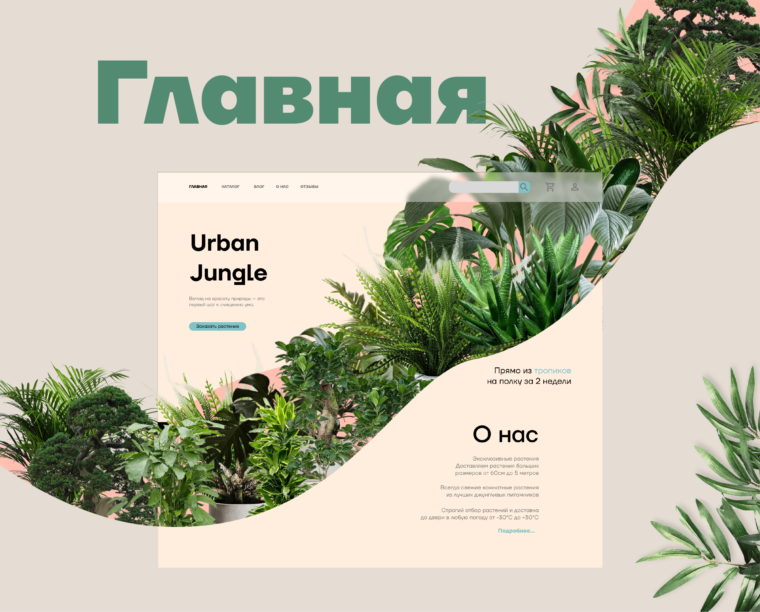 Разработка сайта онлайн-магазина растений "Urban Jungle" — Изображение №3 — Интерфейсы на Dprofile