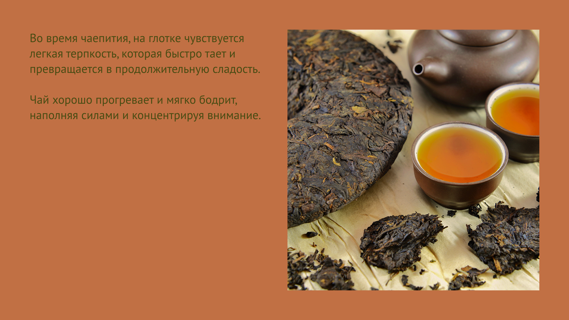 Тень короля. Блин для чая пуэр — Изображение №3 — Брендинг, Графика на Dprofile