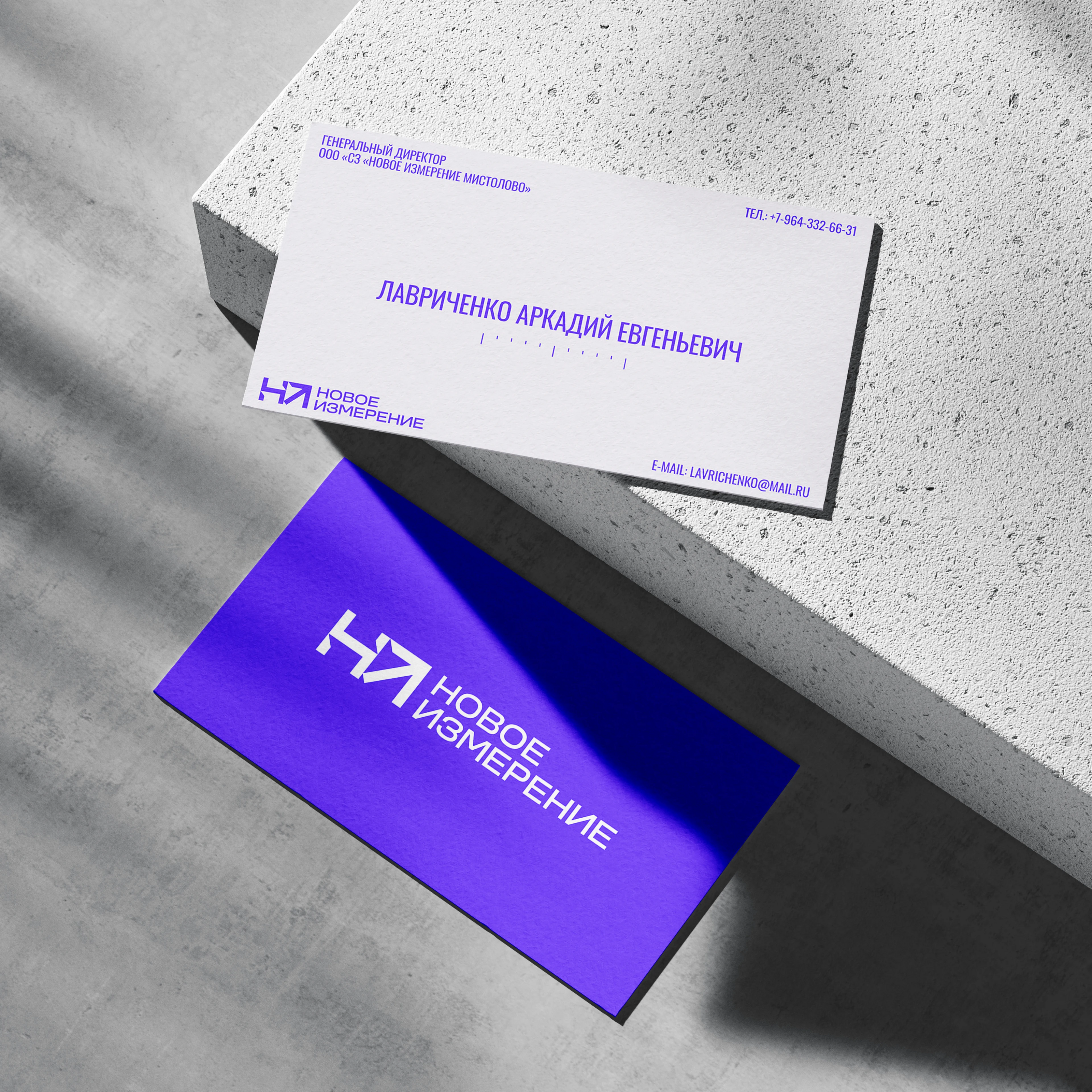 Новое измерение | Brand identity, web — Изображение №4 — Интерфейсы, Брендинг на Dprofile