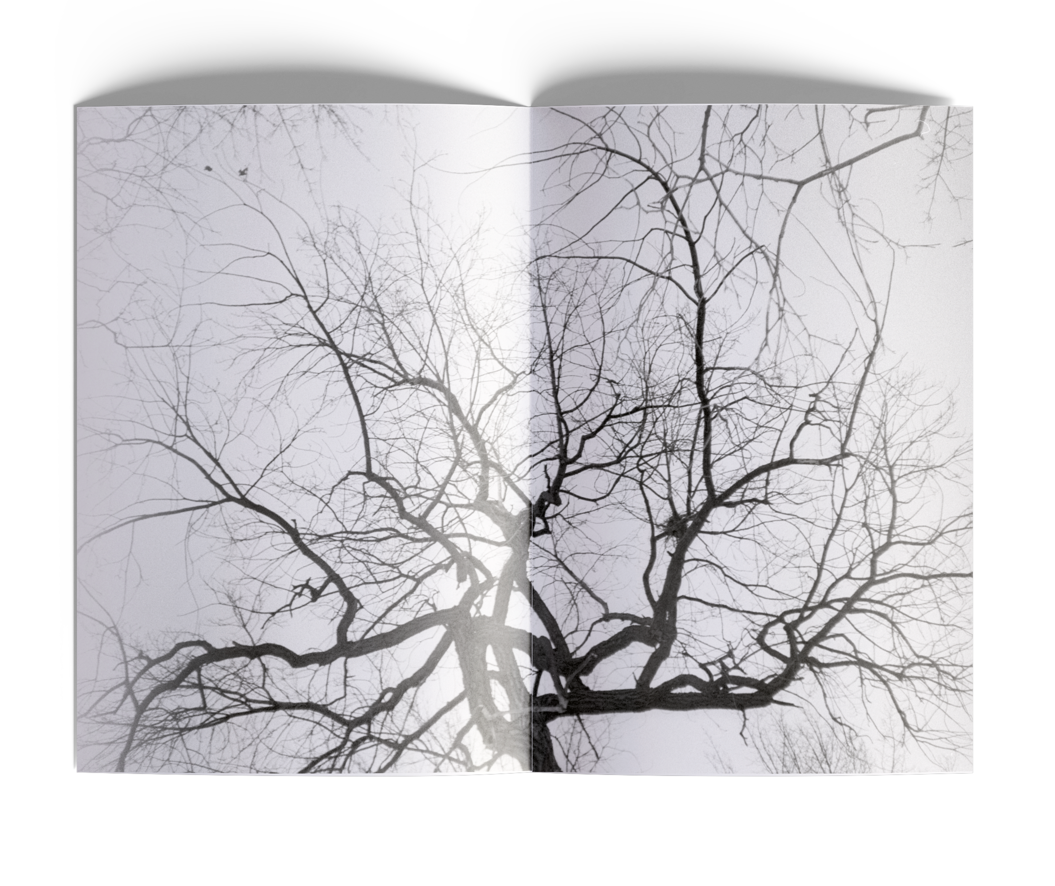 зин с пленочными фотографиями — Изображение №3 — Графика на Dprofile