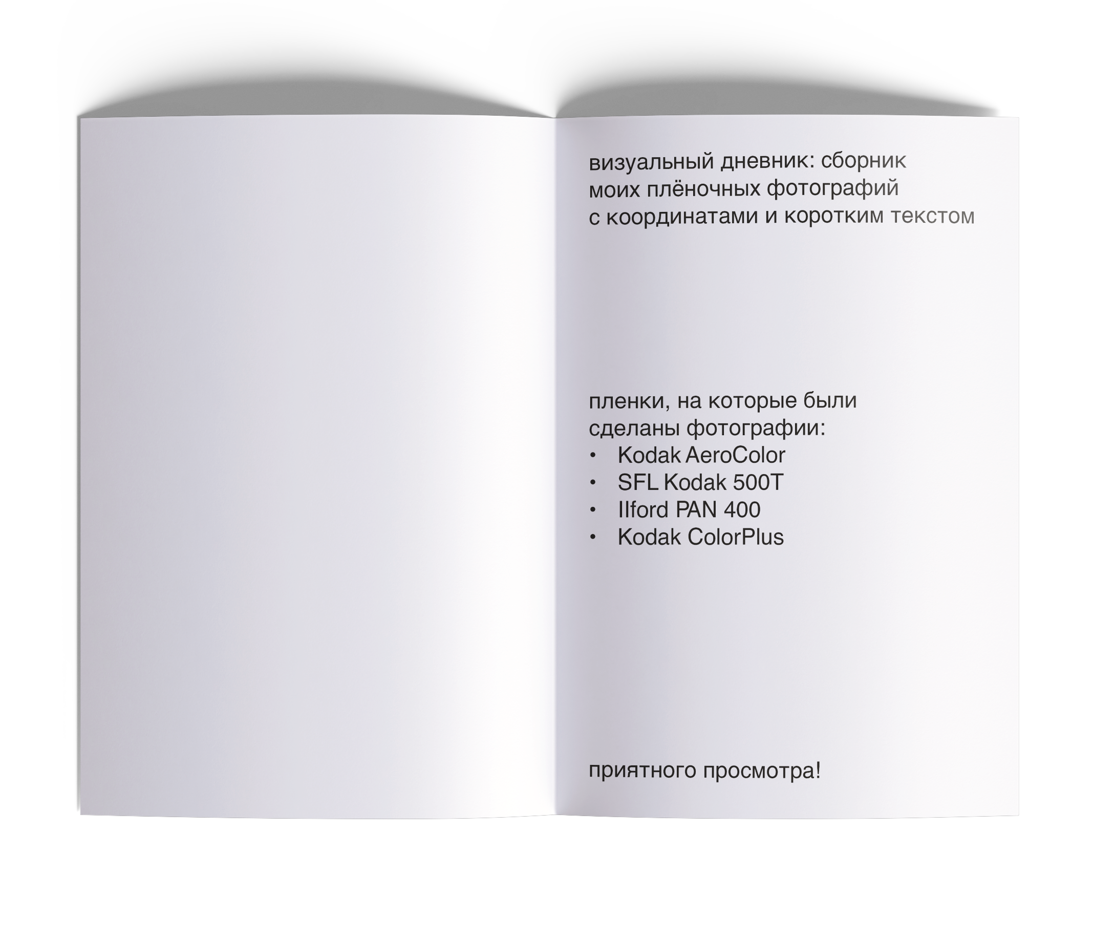 зин с пленочными фотографиями — Изображение №2 — Графика на Dprofile