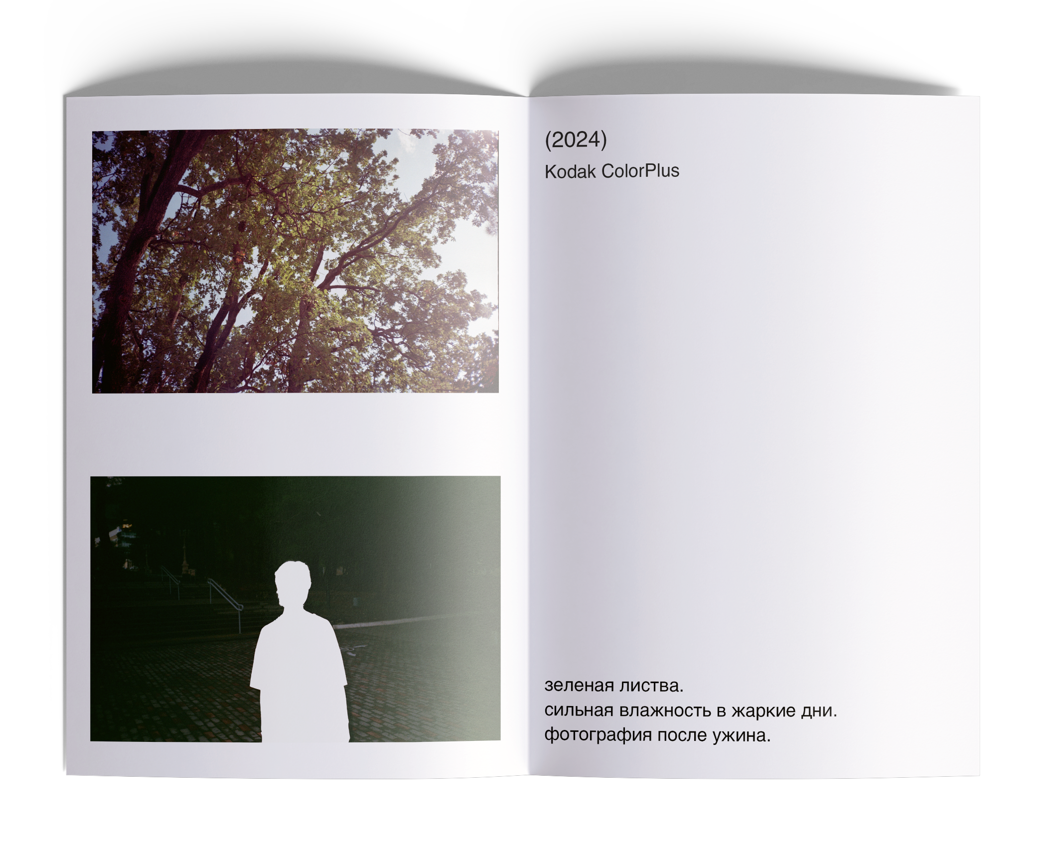 зин с пленочными фотографиями — Изображение №13 — Графика на Dprofile