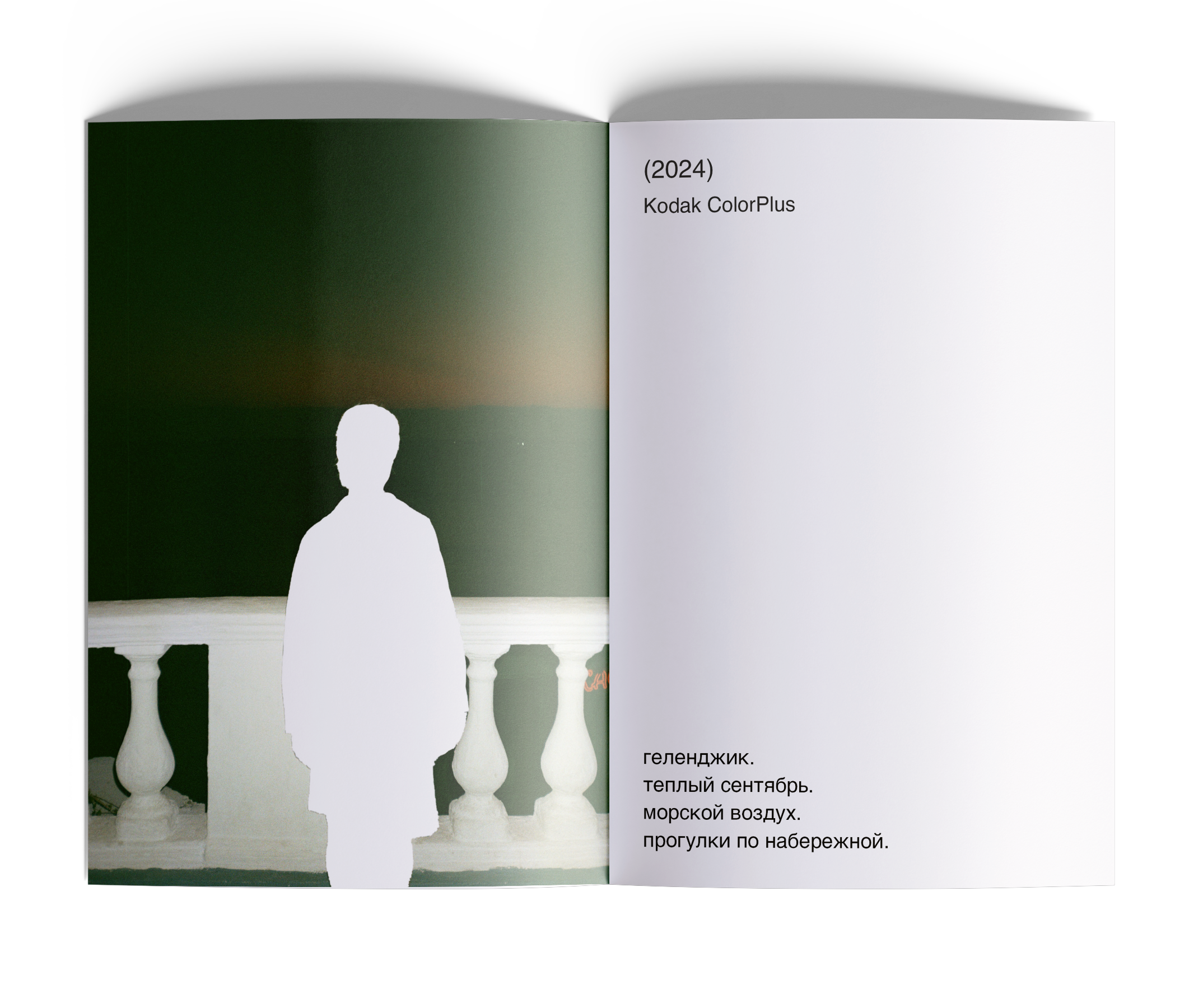 зин с пленочными фотографиями — Изображение №9 — Графика на Dprofile