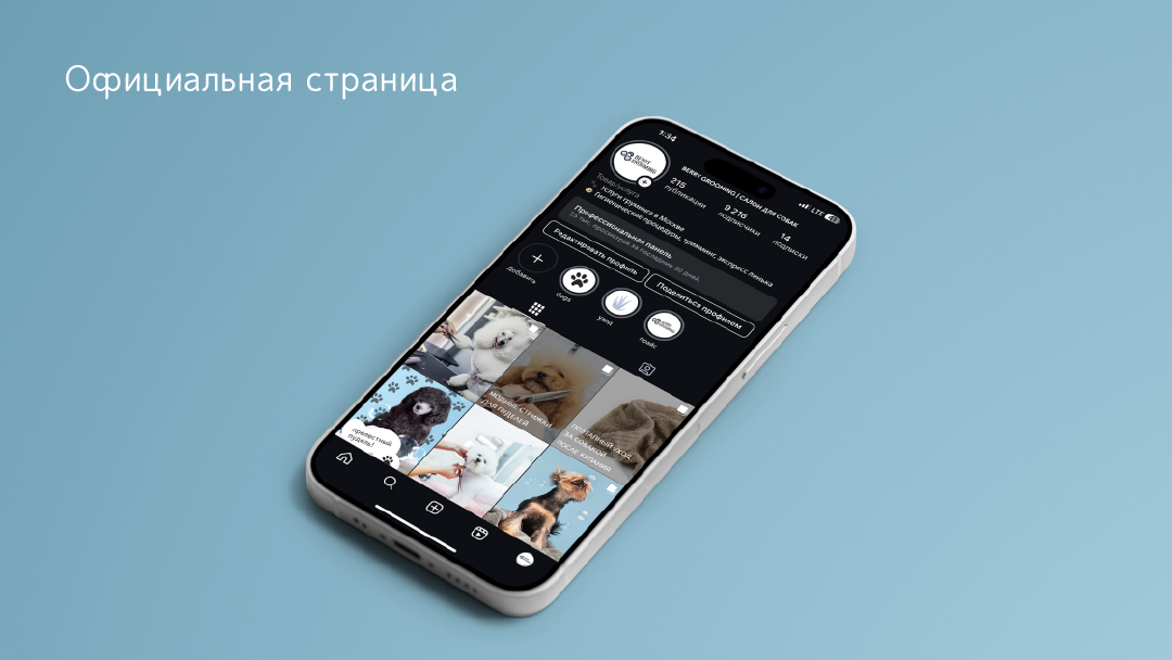 Салон груминга "Berry Grooming" — Изображение №11 — Брендинг, Графика на Dprofile
