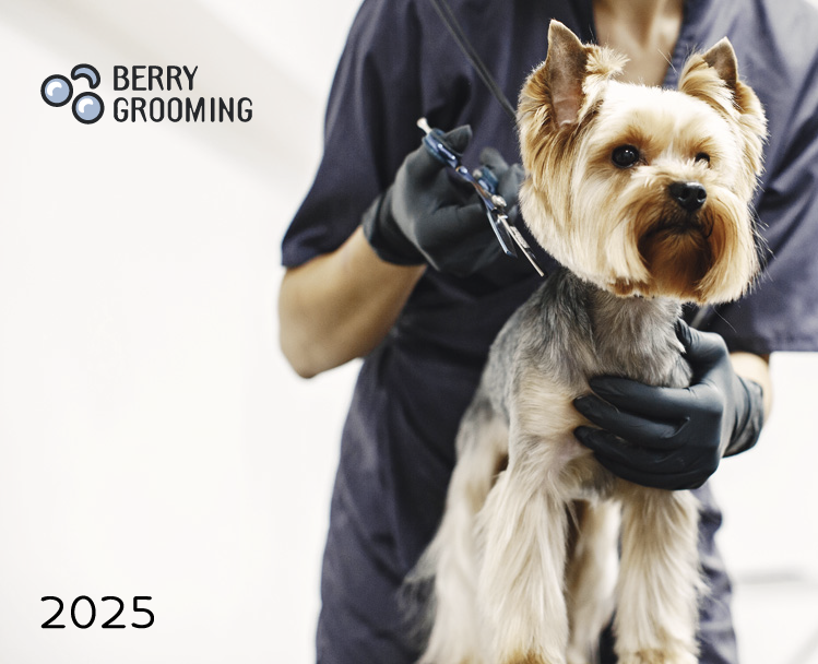 Салон груминга "Berry Grooming" — Брендинг, Графика на Dprofile