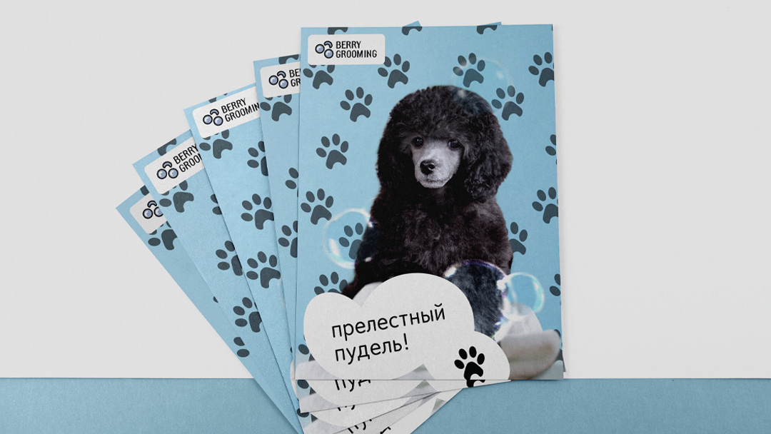 Салон груминга "Berry Grooming" — Изображение №10 — Брендинг, Графика на Dprofile
