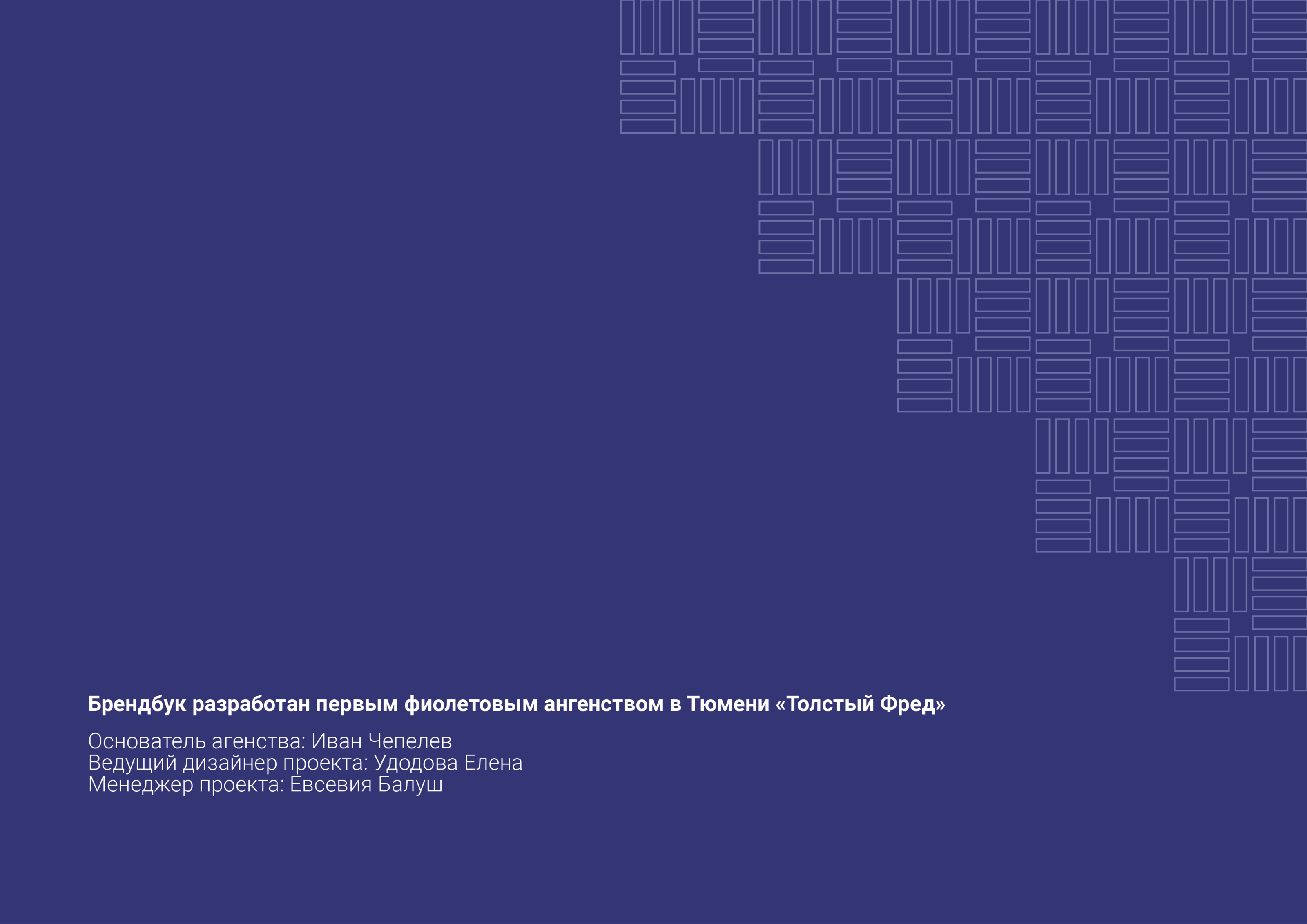 БРЕНДБУК | ФИРМЕННЫЙ СТИЛЬ Компании "Енер-холдинг" — Изображение №41 — Брендинг, Графика на Dprofile
