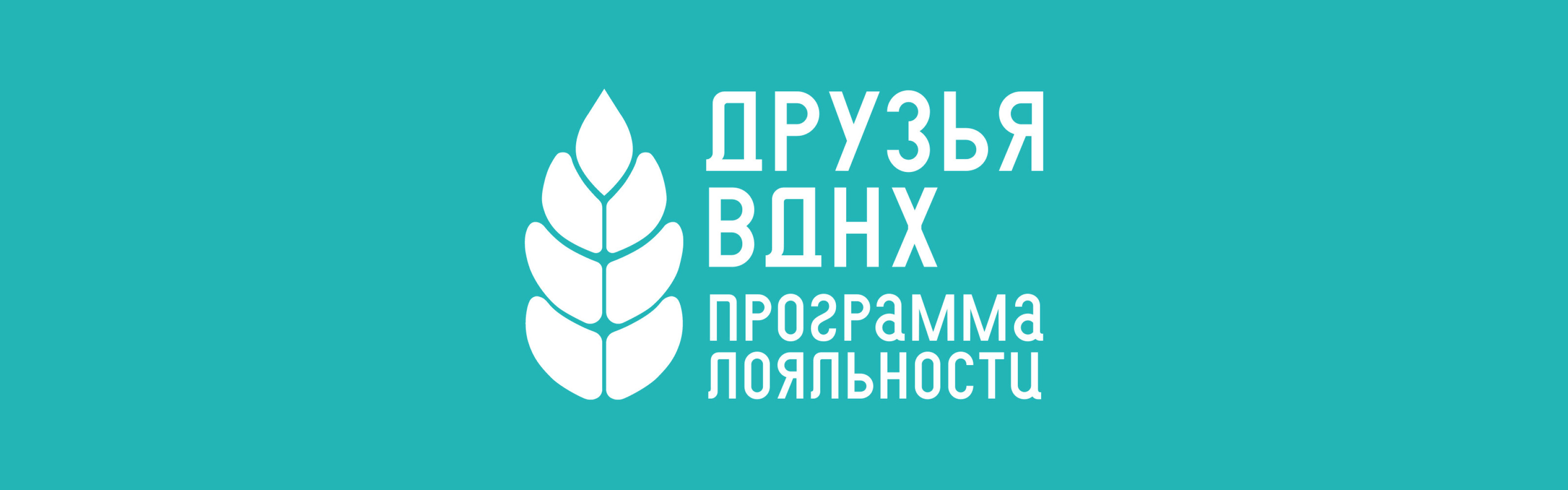 Программа лояльности «Друзья ВДНХ» — Изображение №3 — Брендинг на Dprofile