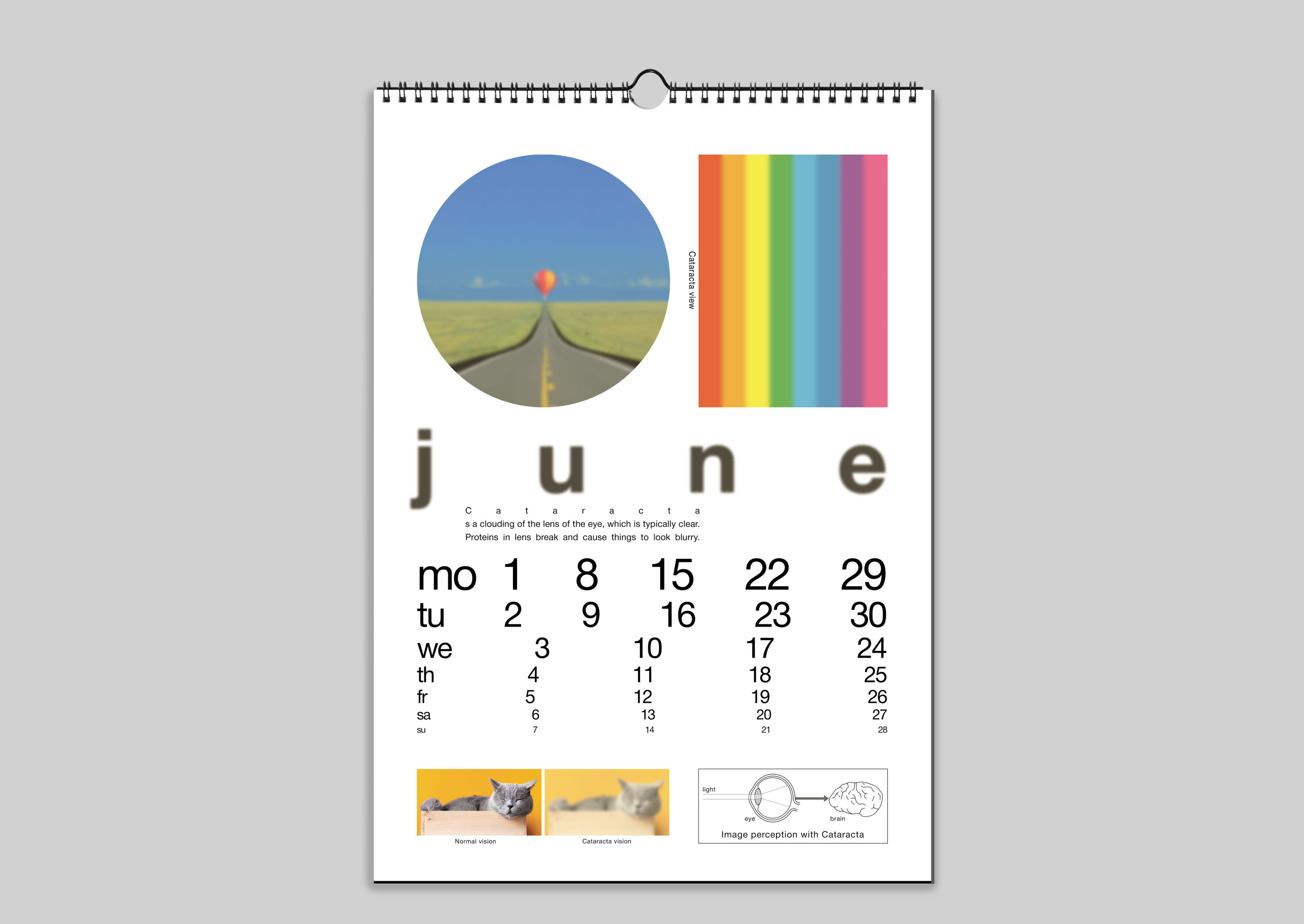 Eye diseases calendar — Изображение №16 — Графика на Dprofile