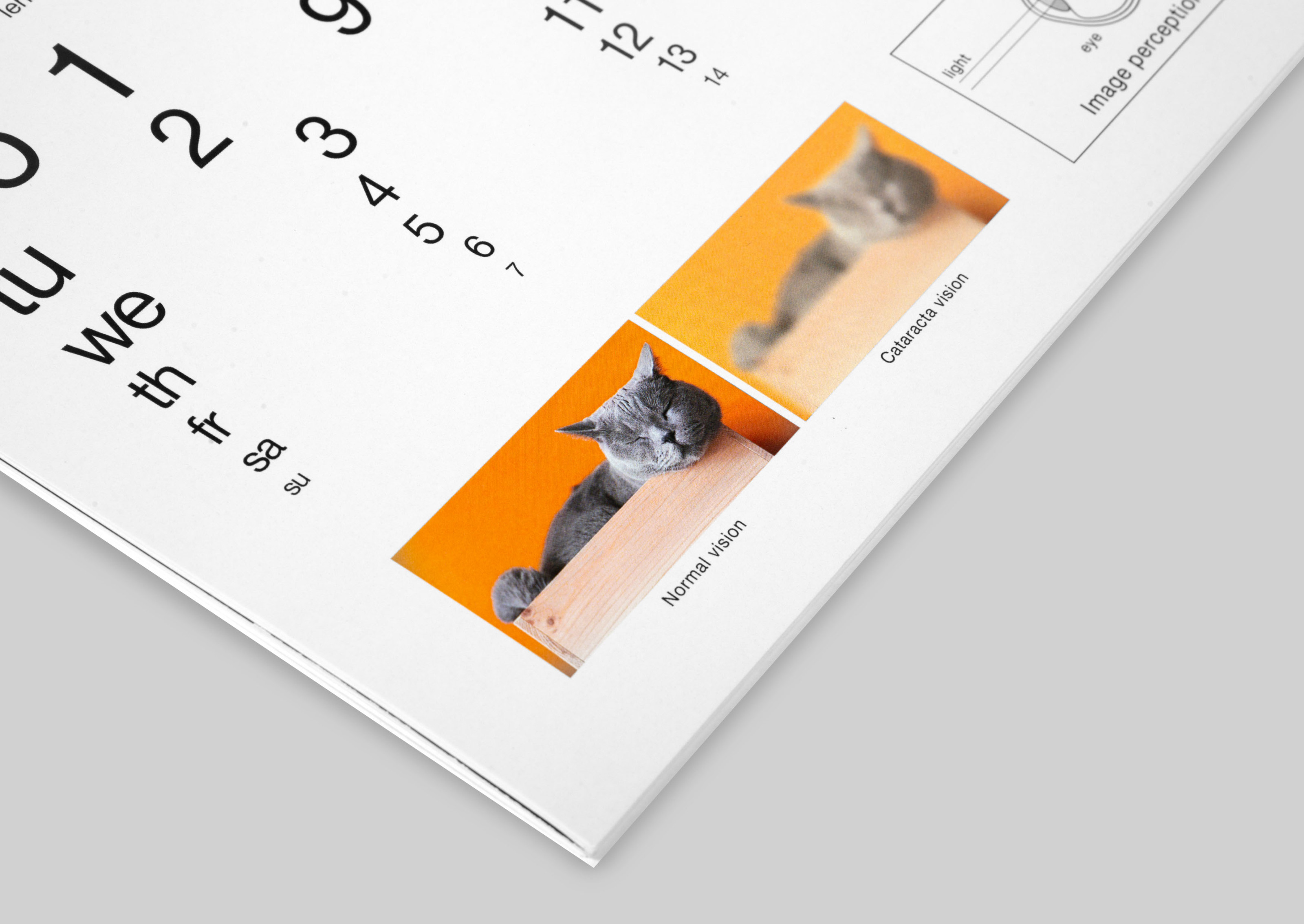 Eye diseases calendar — Изображение №17 — Графика на Dprofile