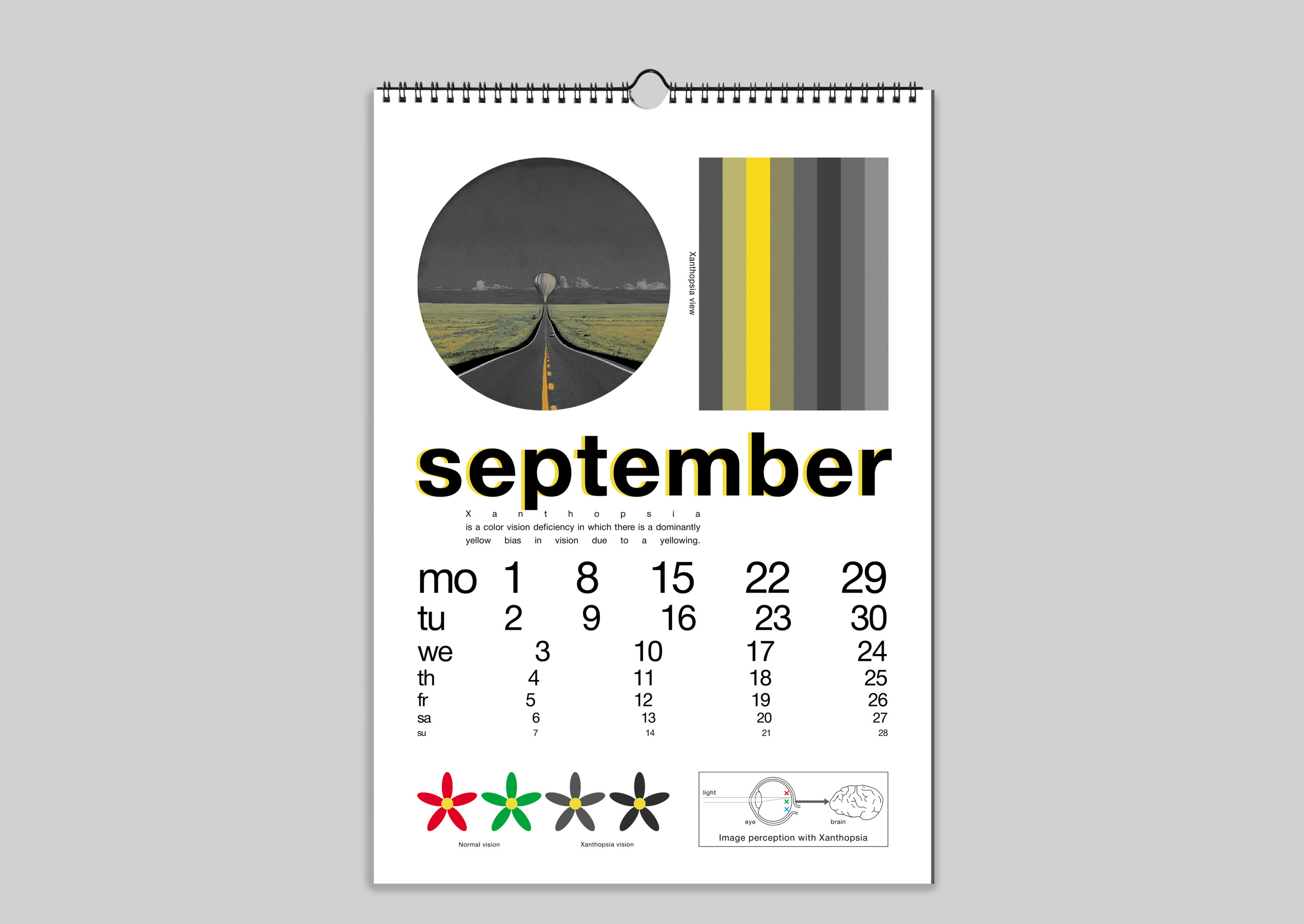 Eye diseases calendar — Изображение №22 — Графика на Dprofile