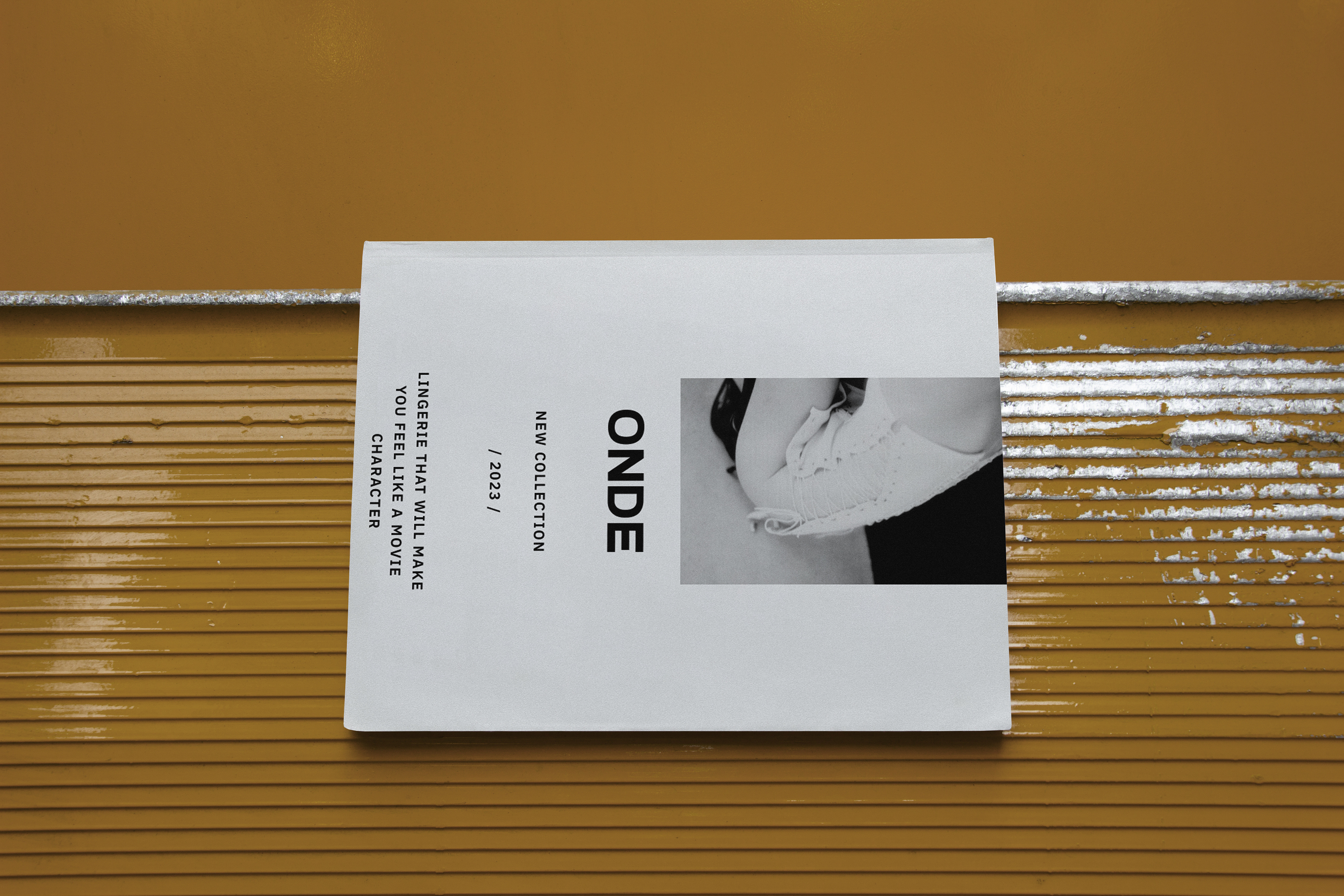 VISUAL IDENTITY / LINGERIE — Изображение №6 — Брендинг на Dprofile