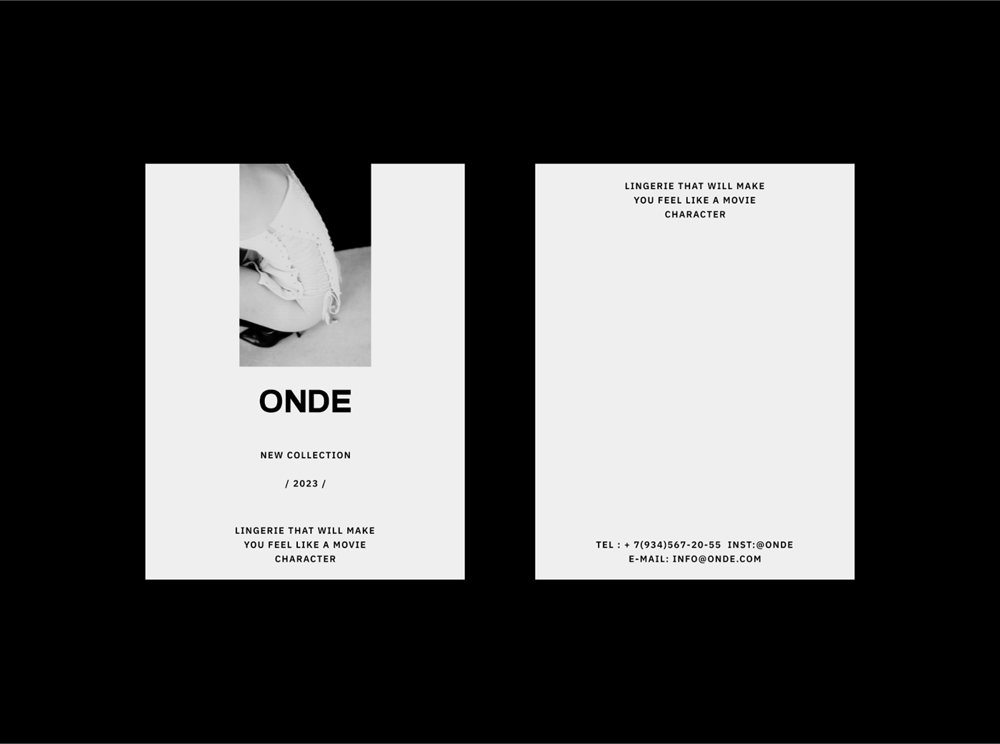VISUAL IDENTITY / LINGERIE — Изображение №4 — Брендинг на Dprofile