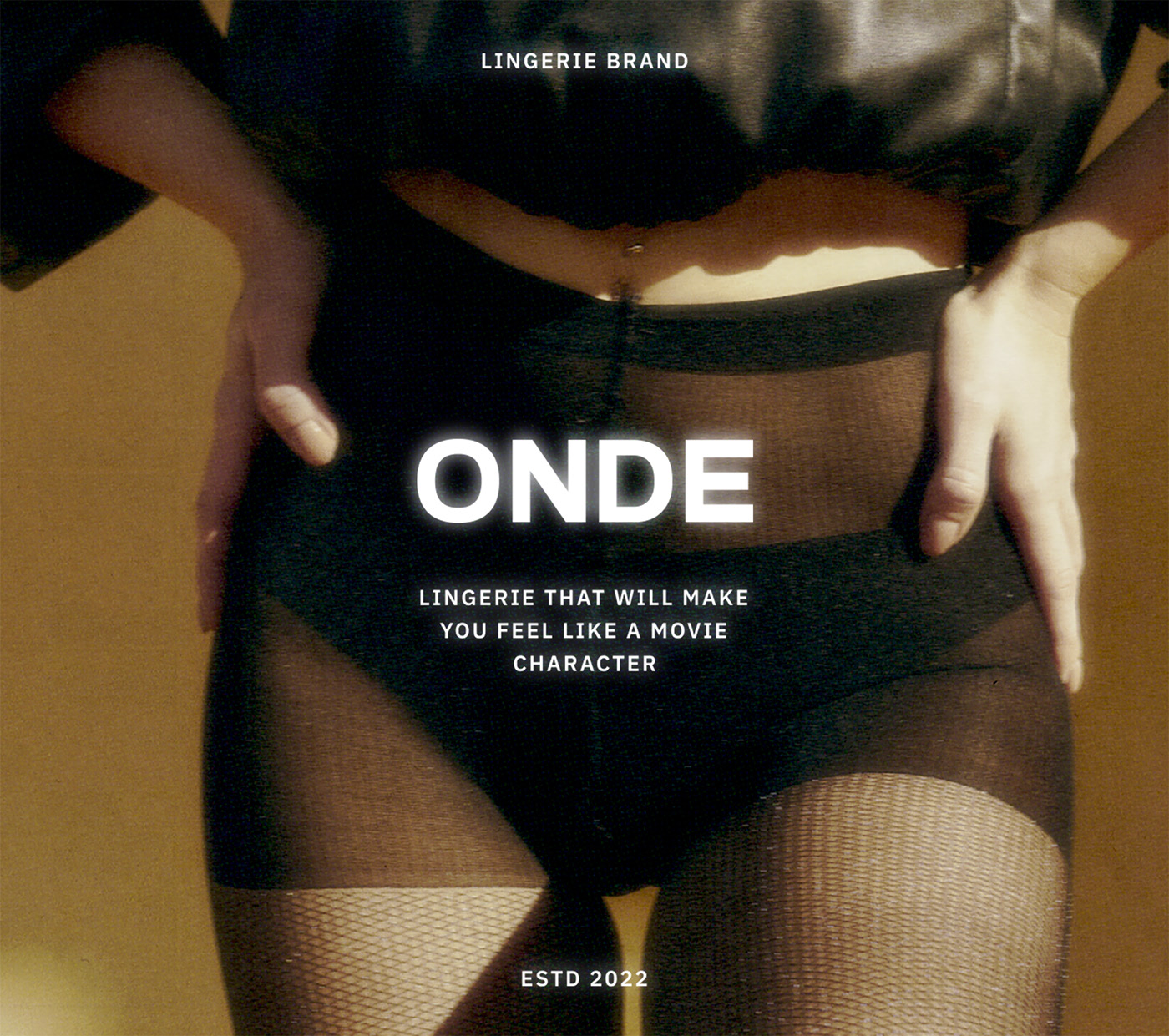 VISUAL IDENTITY / LINGERIE — Изображение №1 — Брендинг на Dprofile