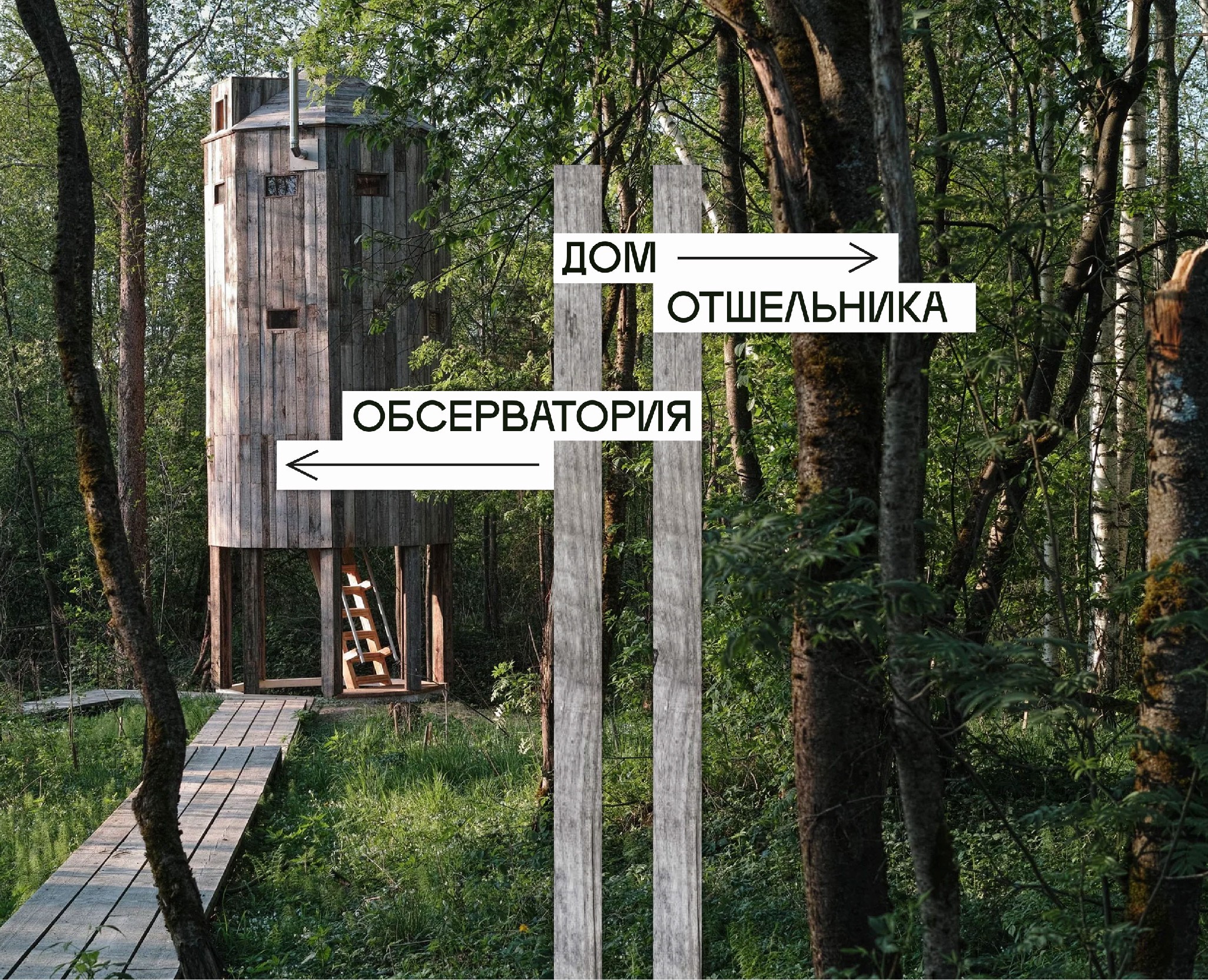 Парк Бродского | Графический комплекс на Dprofile