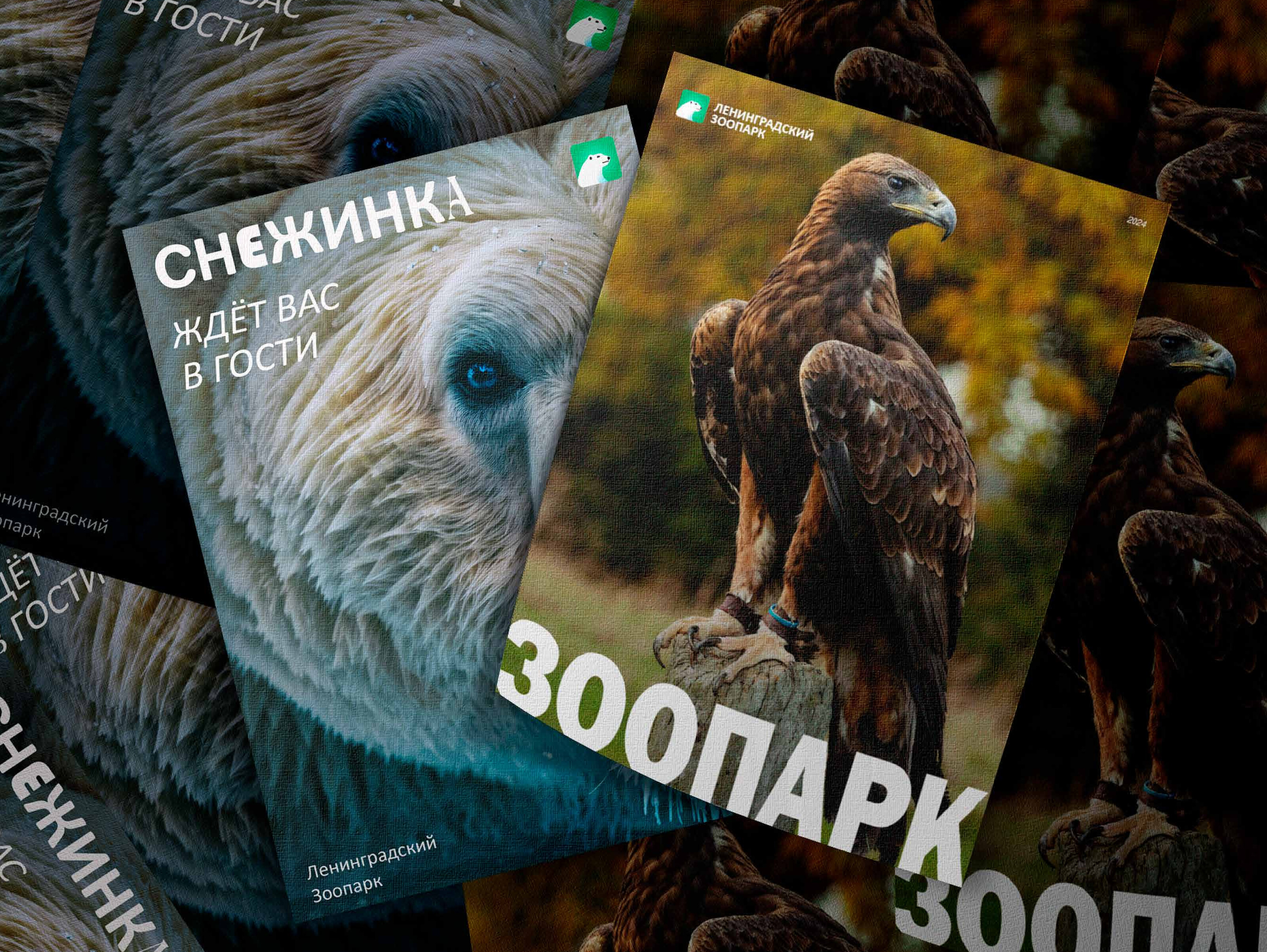 Ленинградский Зоопарк — Изображение №12 — Брендинг на Dprofile