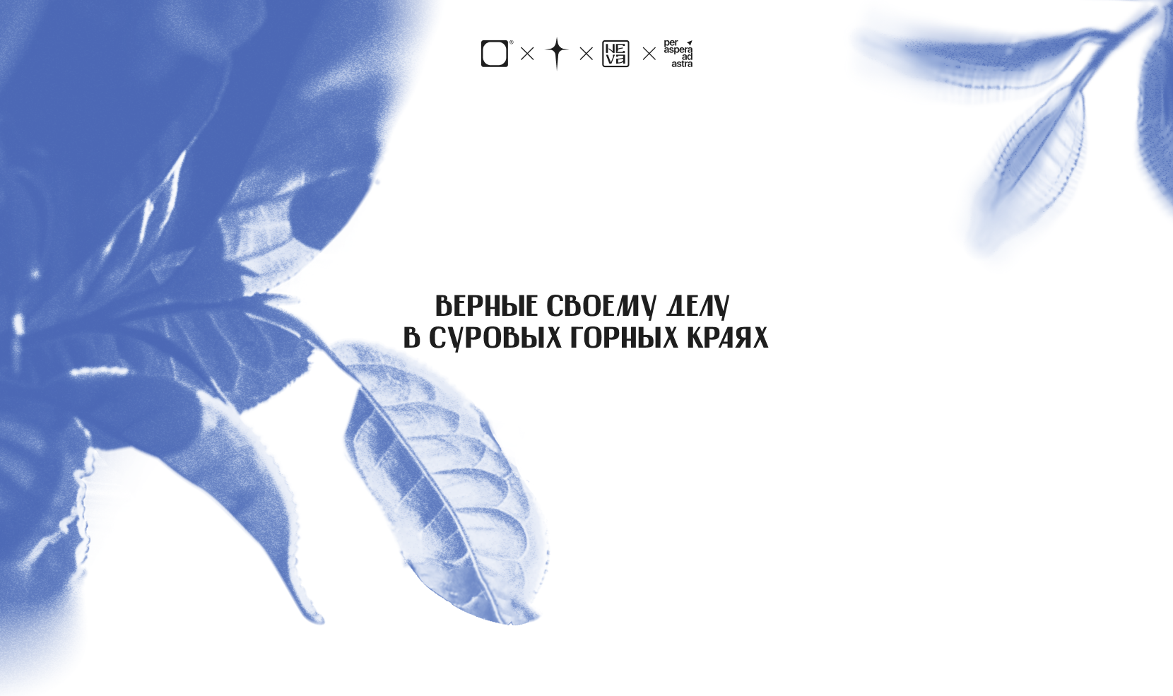 Дизайн упаковки для чая пуэр — Изображение №1 — Брендинг, Графика на Dprofile