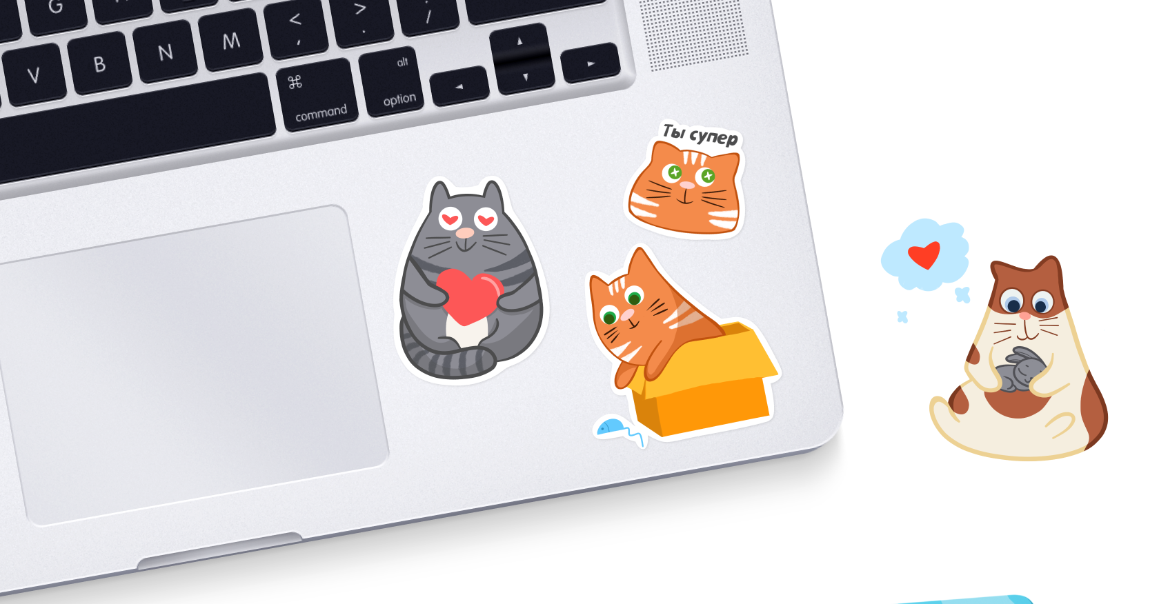 Дизайн упаковки корма для кошек — Изображение №10 — Брендинг, Иллюстрация на Dprofile