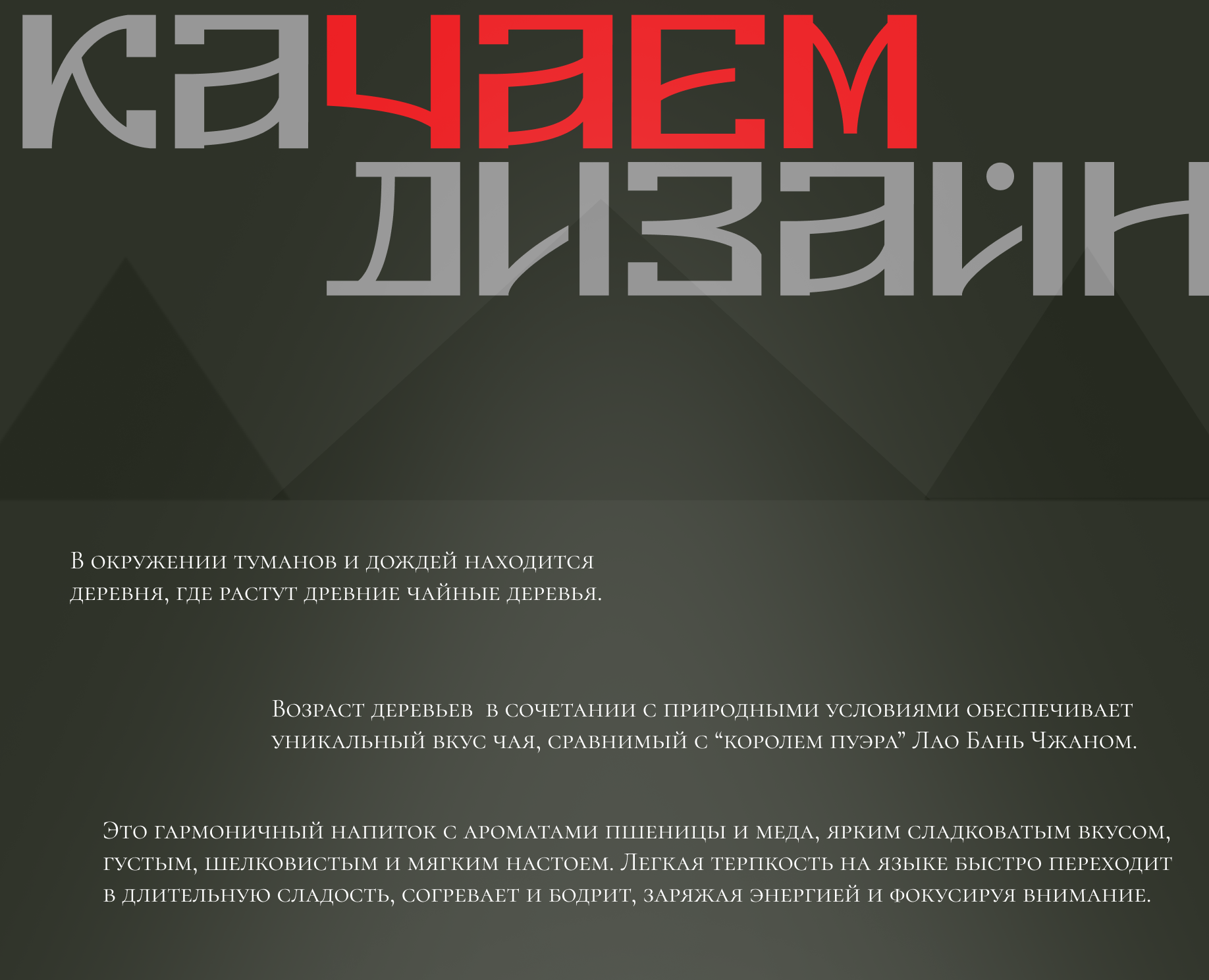 Дизайн упаковки блина для чая Пуэр — Иллюстрация, Графика на Dprofile