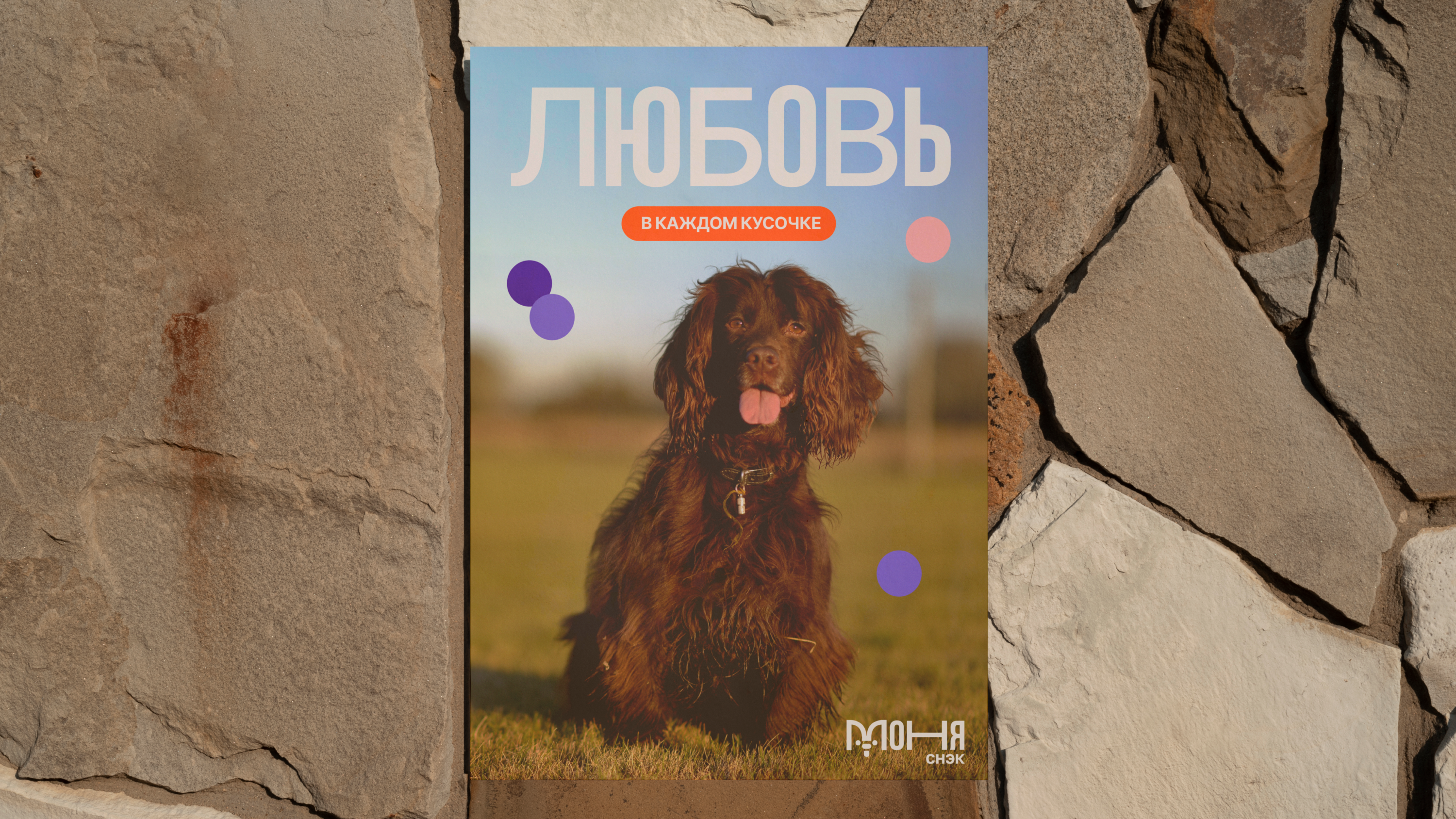 МОНЯ СНЭК — Изображение №9 — Брендинг на Dprofile